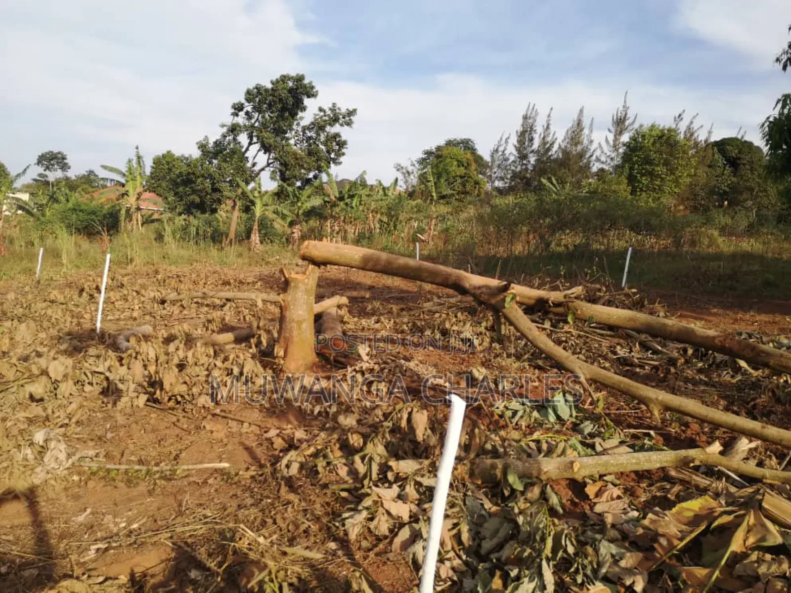 Plot's for Sale in Busika Near Town in Division B