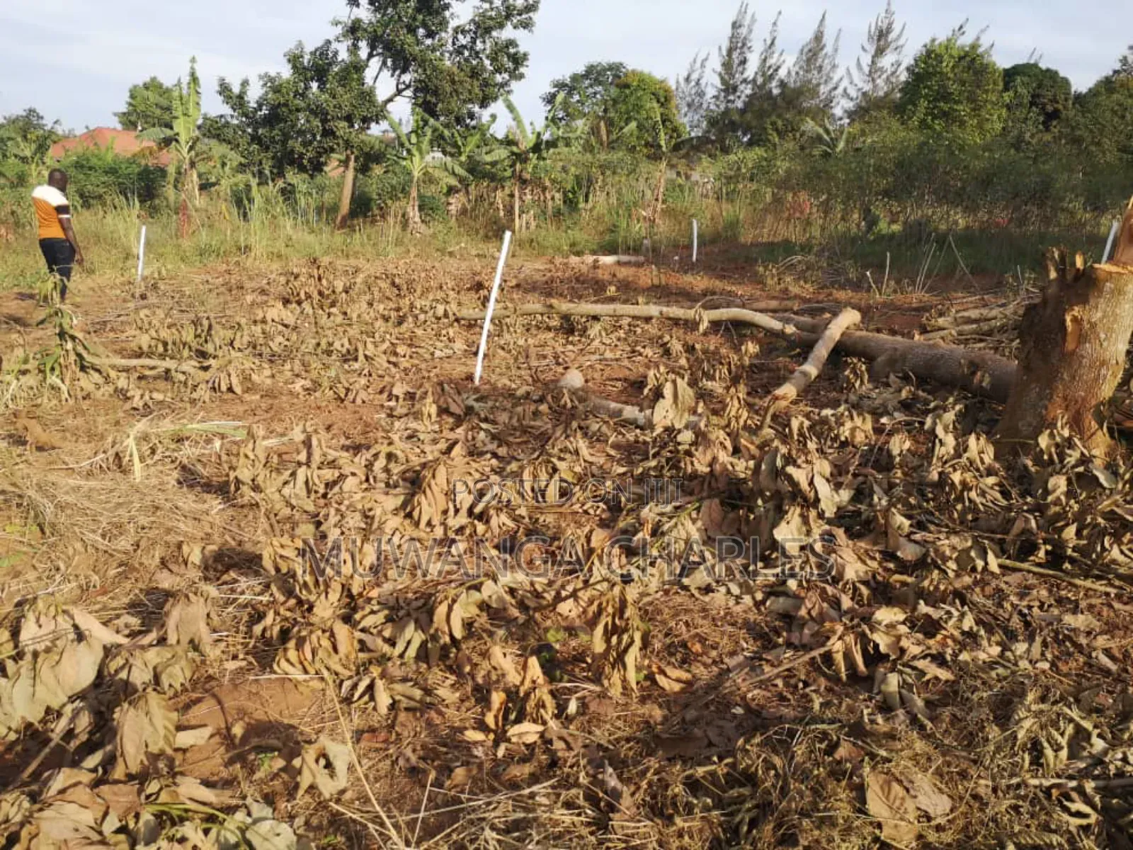 Plot's for Sale in Busika Near Town in Division B