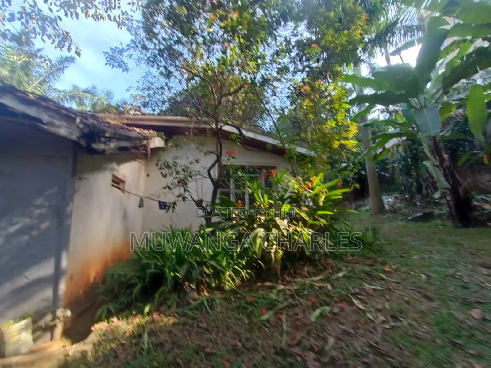 Plot's for Sale in Busika Near Town in Division B