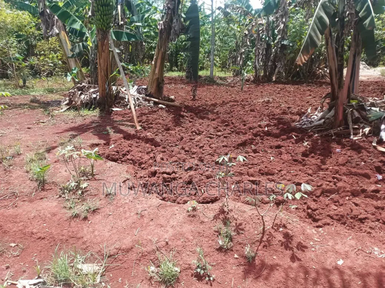 Land for Sale in Luwero Wabutungulu in Division B