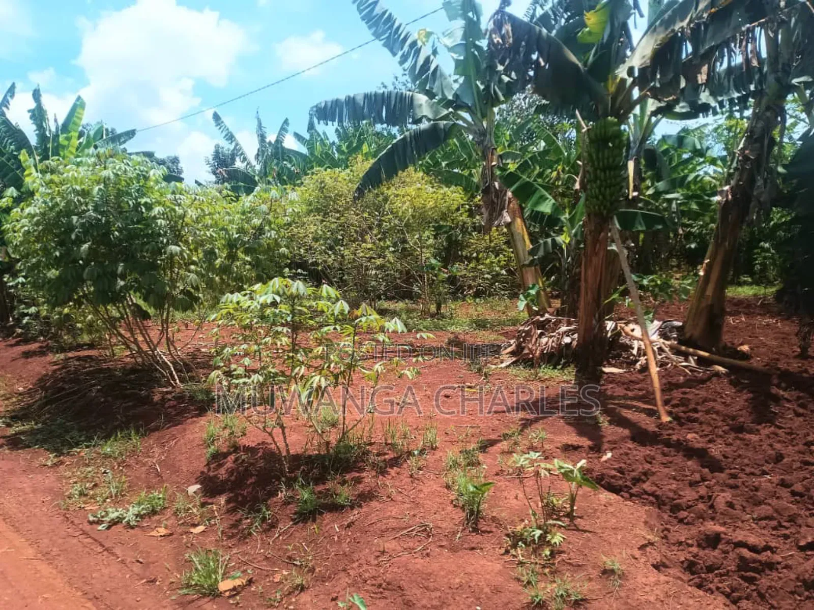 Land for Sale in Luwero Wabutungulu in Division B