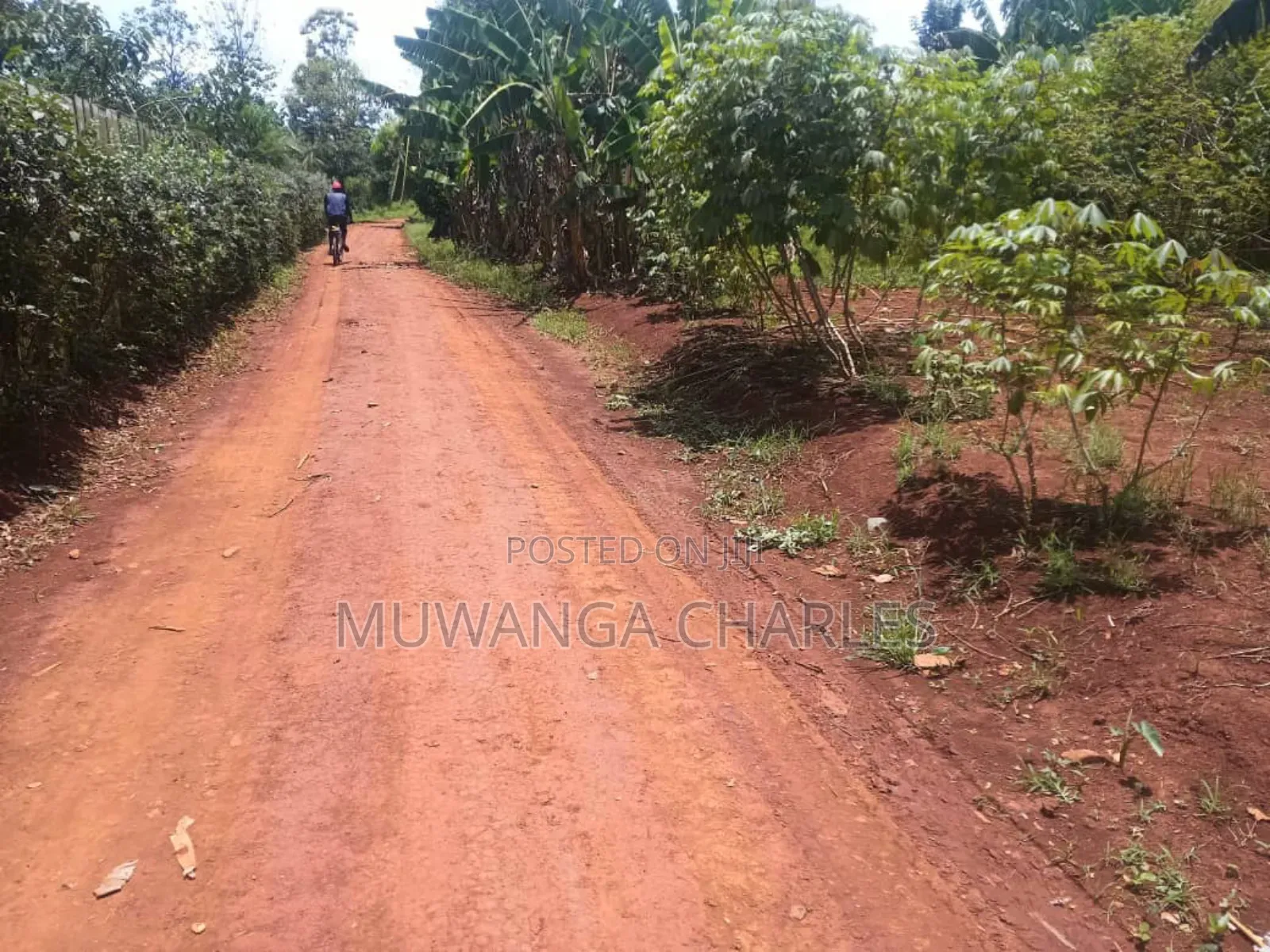 Land for Sale in Luwero Wabutungulu in Division B