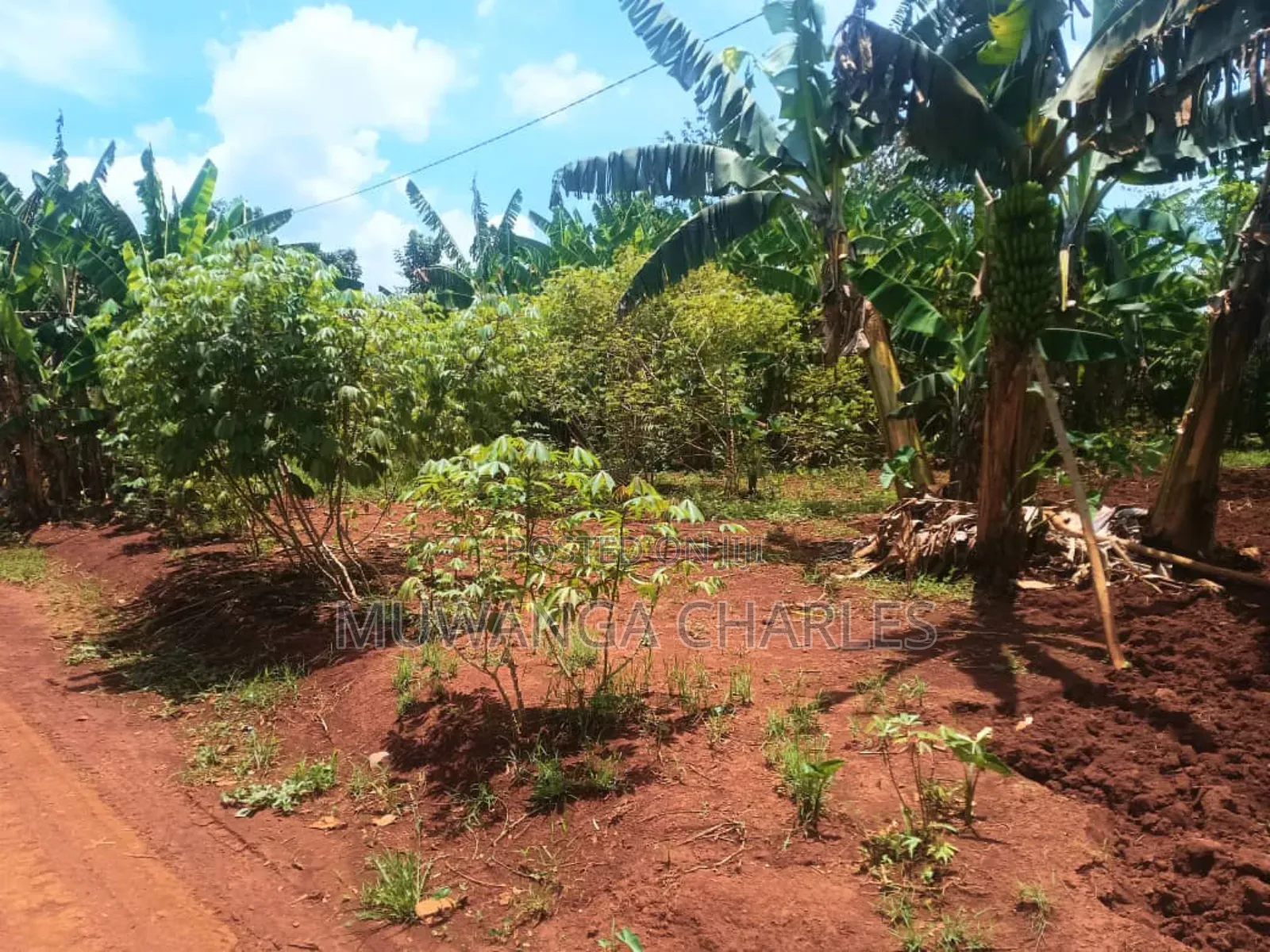 Land for Sale in Luwero Wabutungulu in Division B