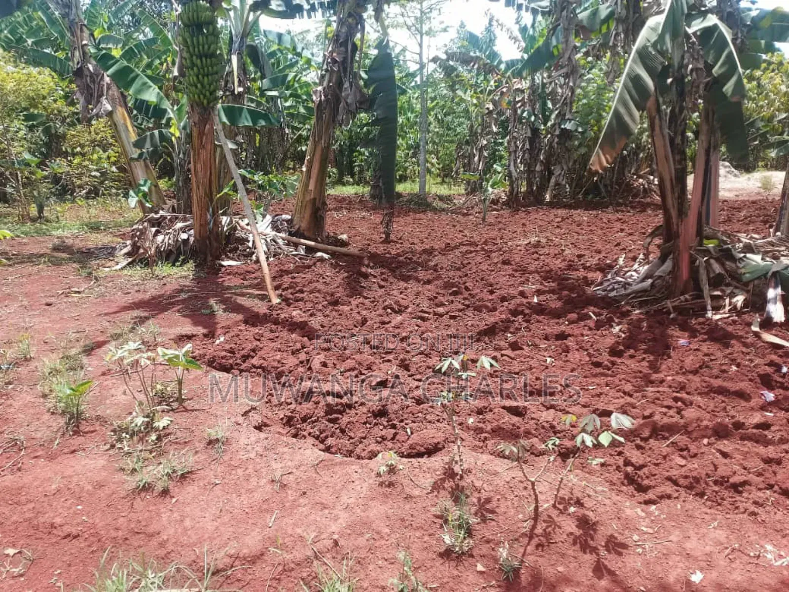 Land for Sale in Luwero Wabutungulu in Division B