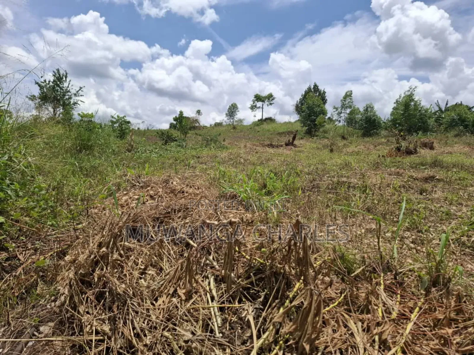 Land for Sale in Vumba Zirobwe Road in Luwero TC