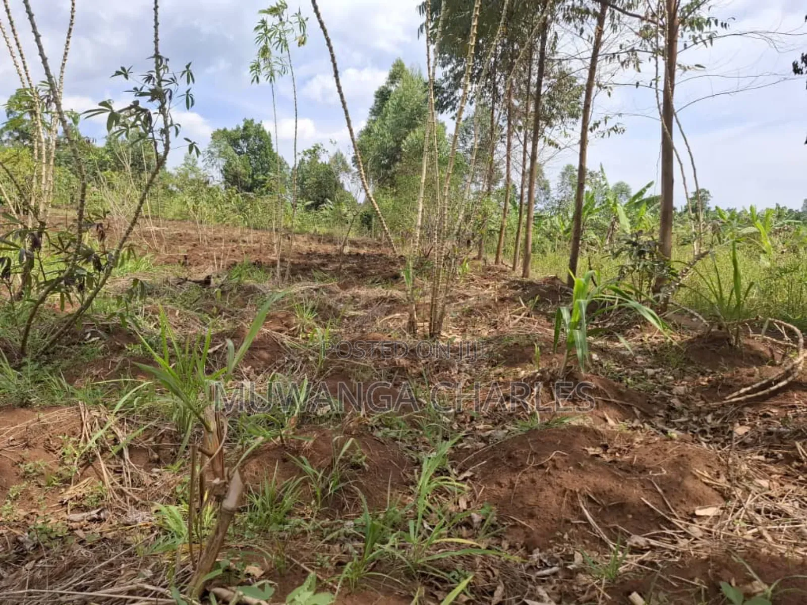 Land for Sale in Vumba Zirobwe Road in Luwero TC
