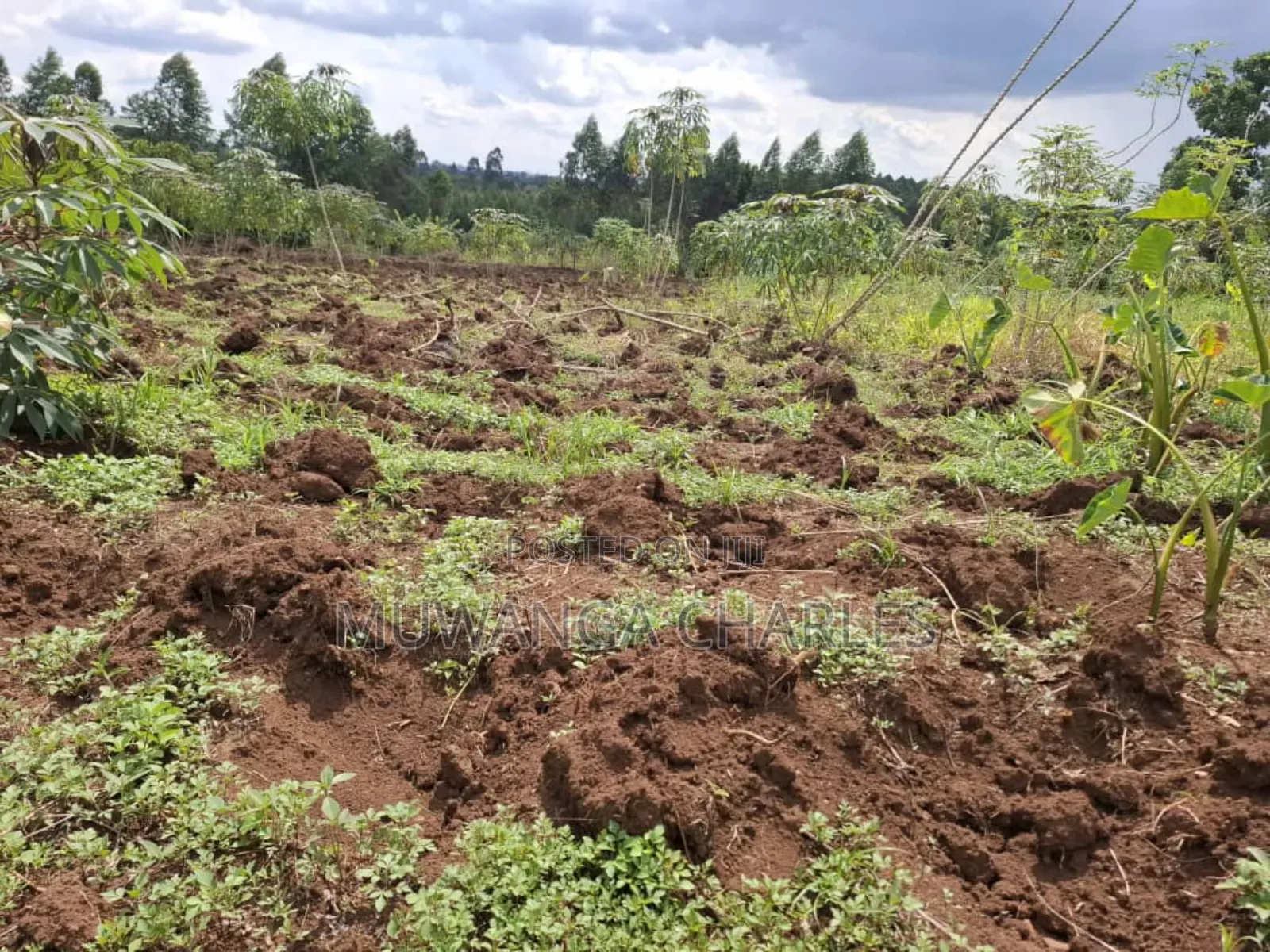 Land for Sale in Vumba Zirobwe Road in Luwero TC