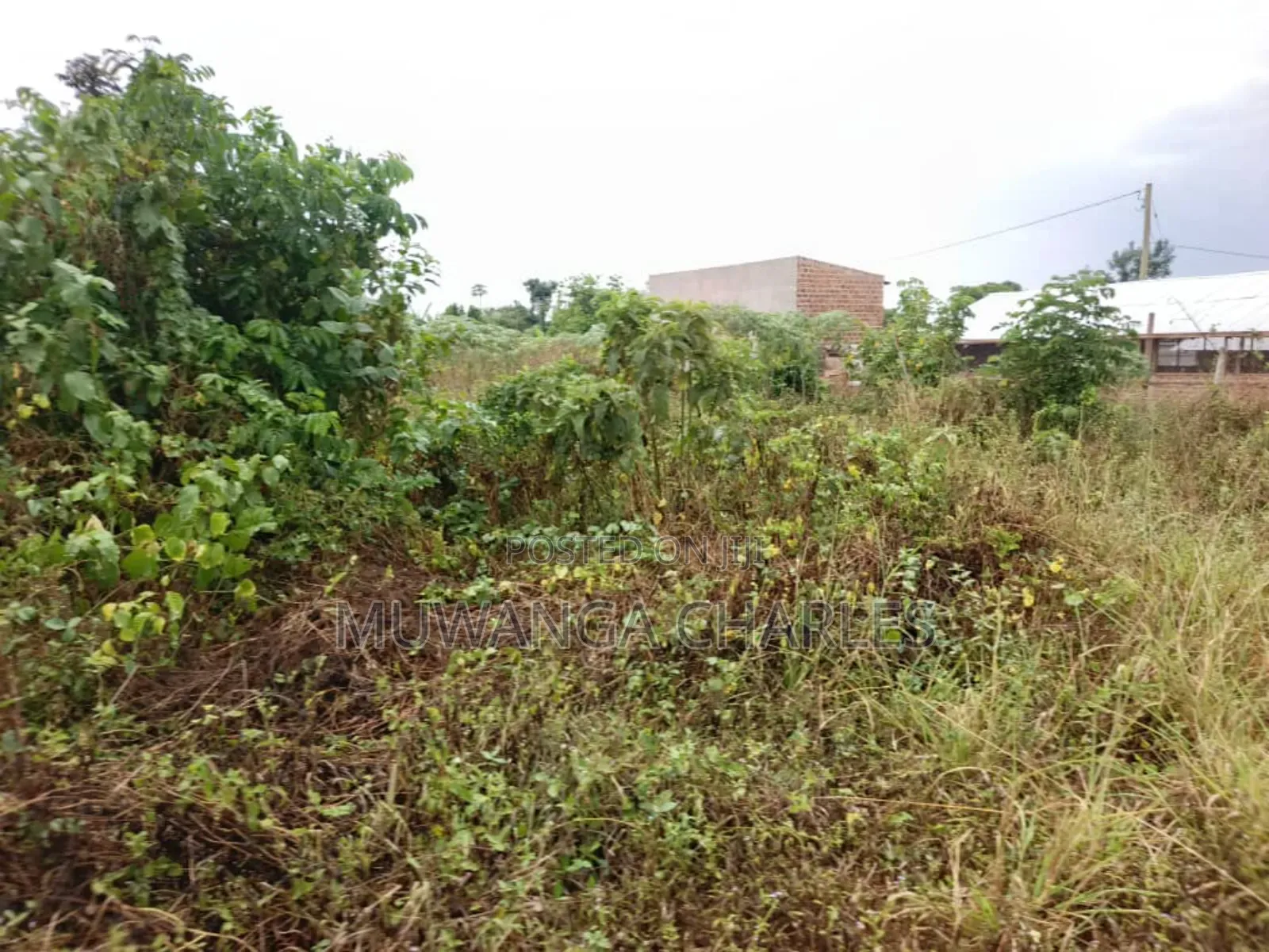 Plot for Sale in Nangabo Kiti in Nangabo