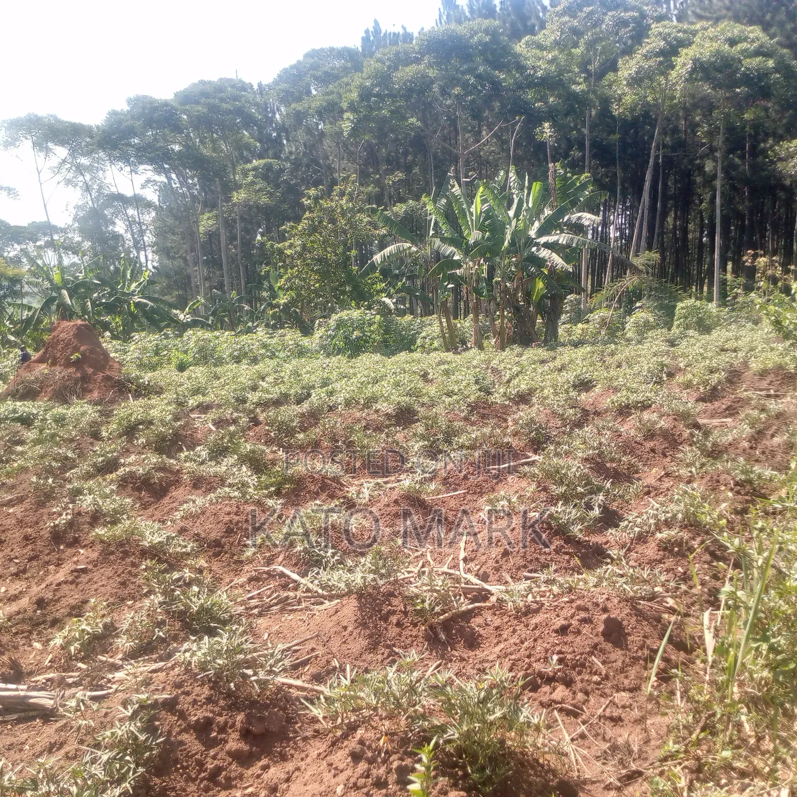 1 Square Miles for Sale at Kayunga Bale in Mukono TC