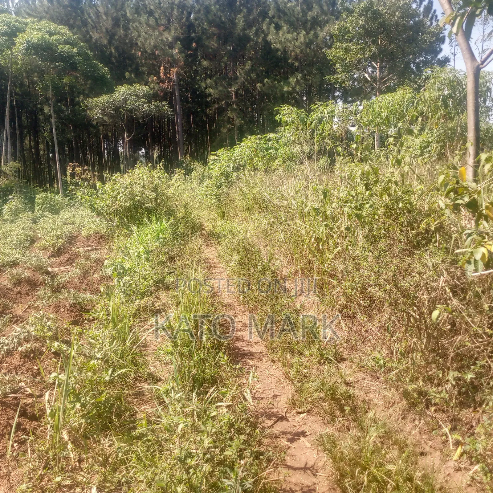 1 Square Miles for Sale at Kayunga Bale in Mukono TC