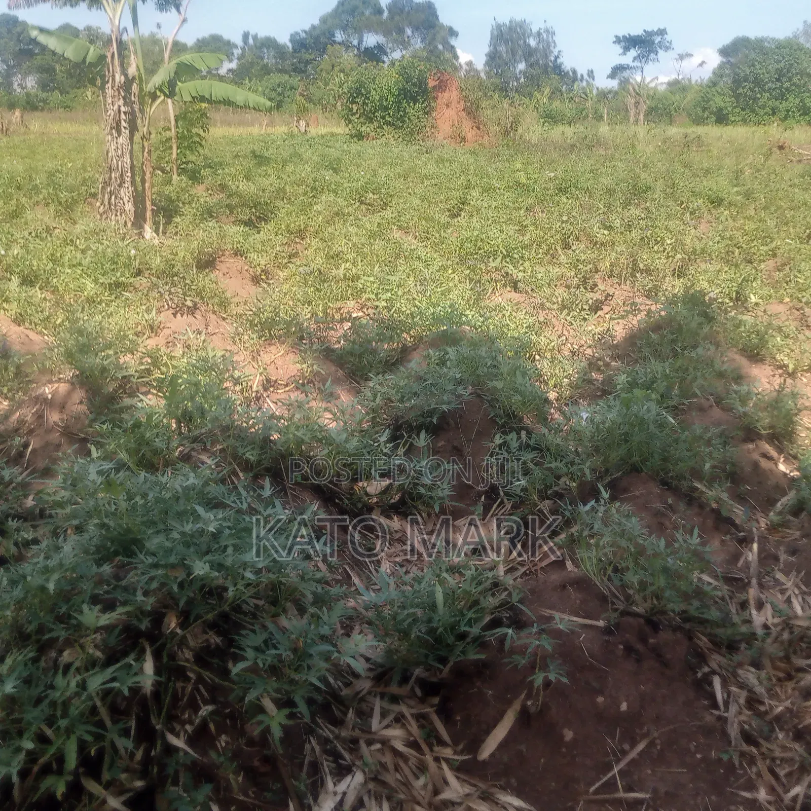 1 Square Miles for Sale at Kayunga Bale in Mukono TC