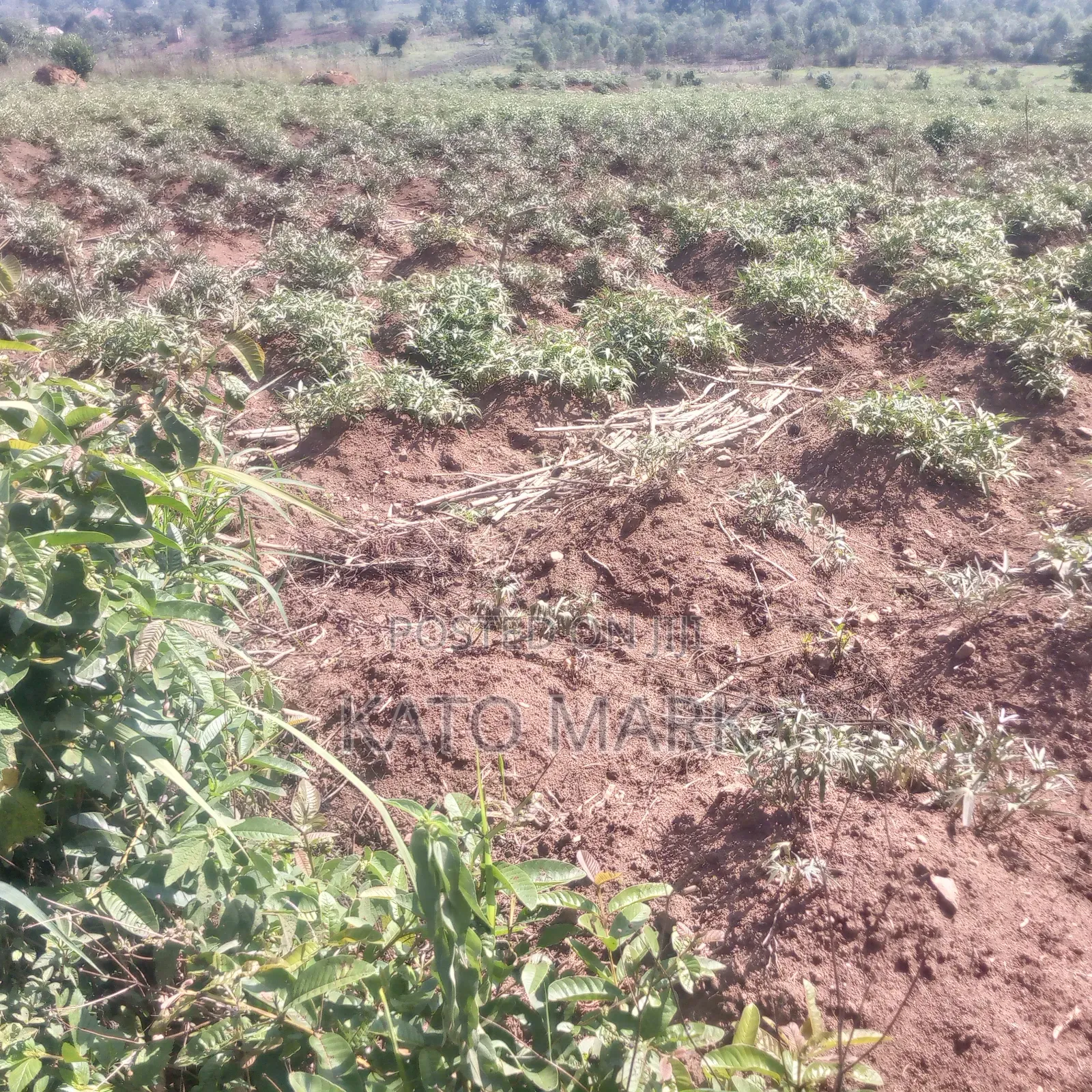 1 Square Miles for Sale at Kayunga Bale in Mukono TC