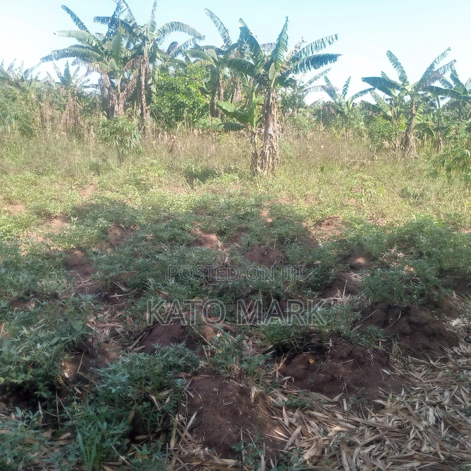 1 Square Miles for Sale at Kayunga Bale in Mukono TC