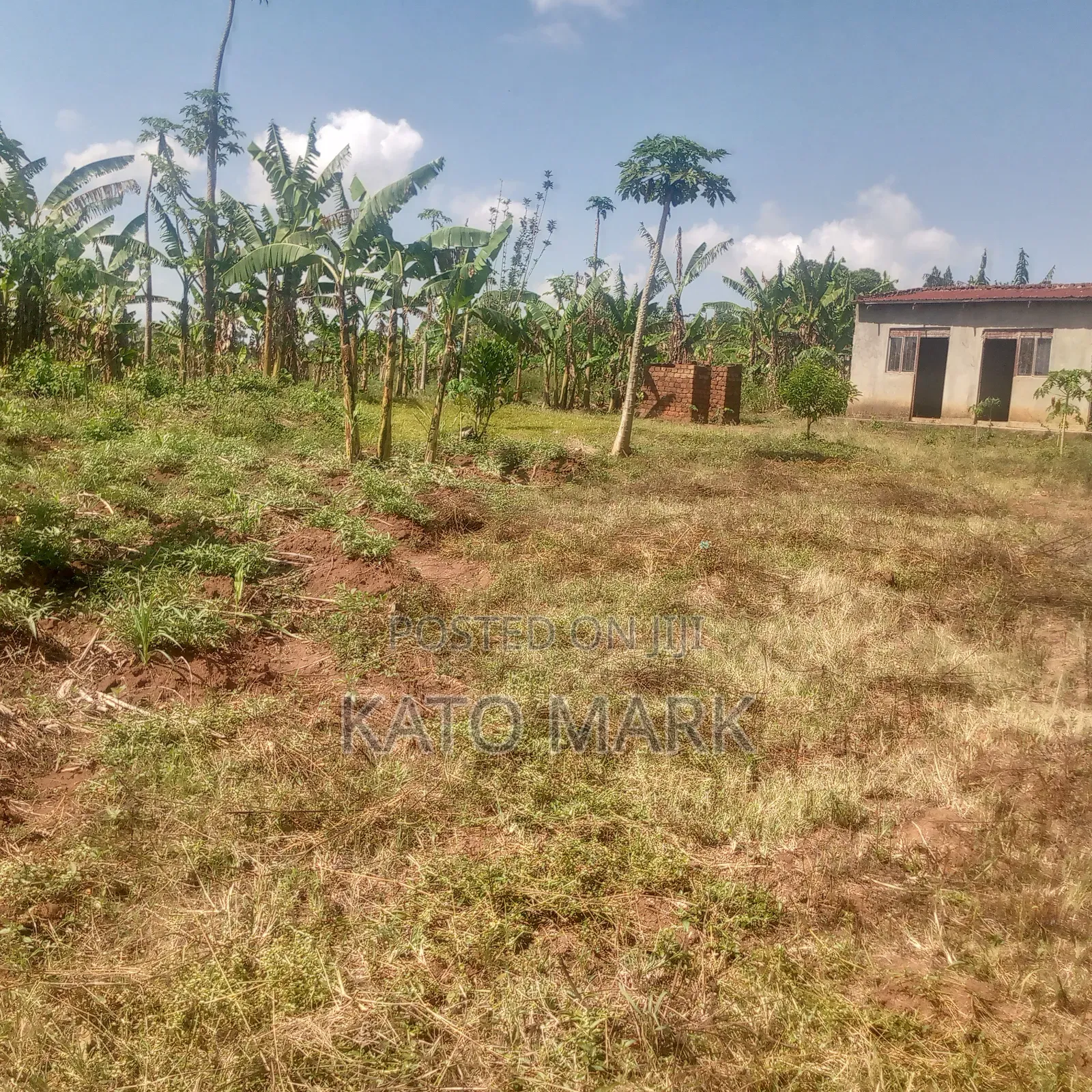 13 Acres for Sale at Mukono Nama Bulika in Mukono TC