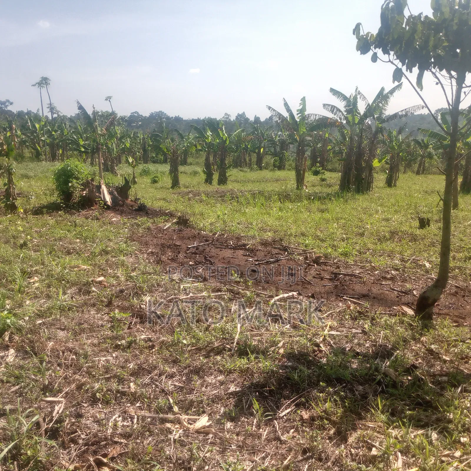 13 Acres for Sale at Mukono Nama Bulika in Mukono TC