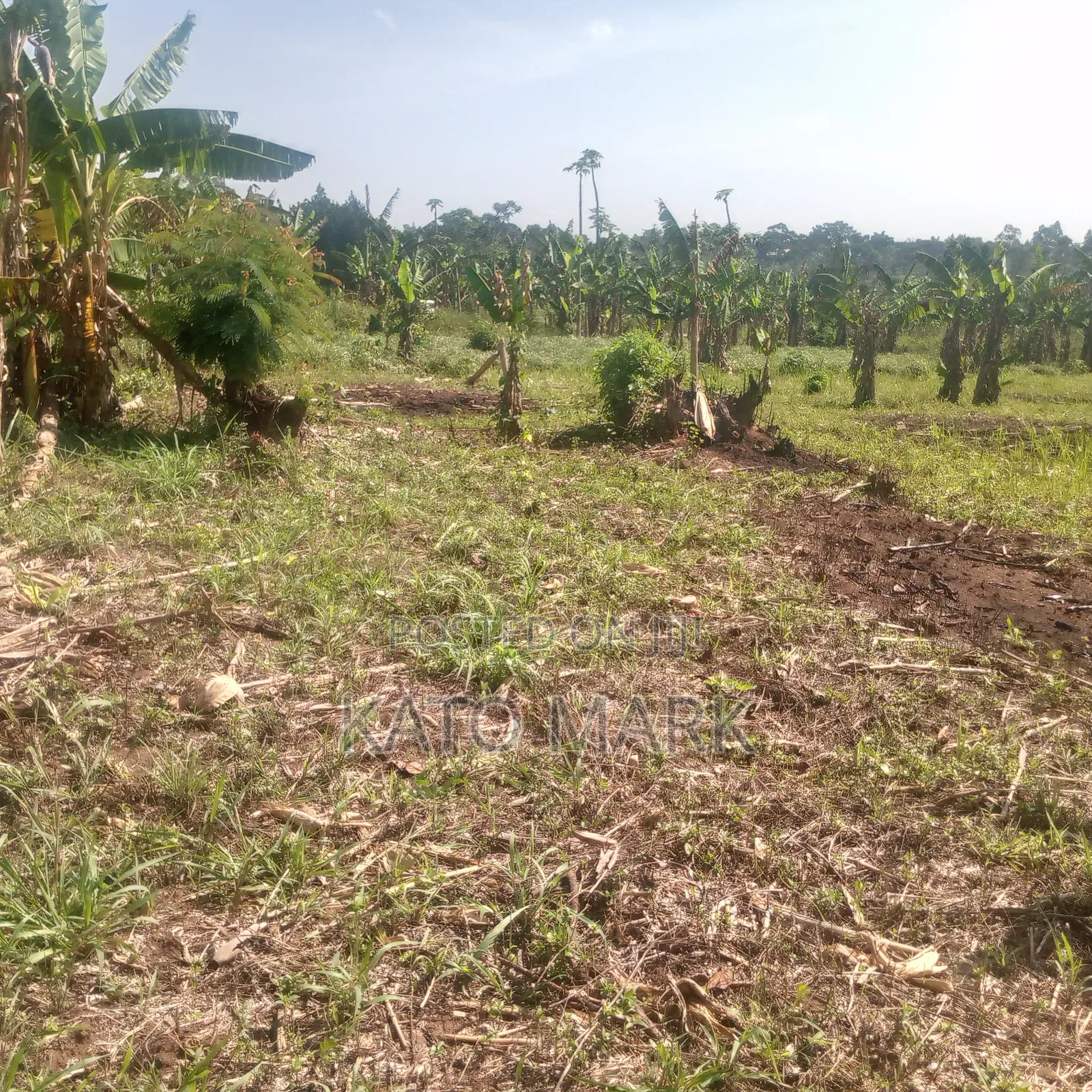 13 Acres for Sale at Mukono Nama Bulika in Mukono TC