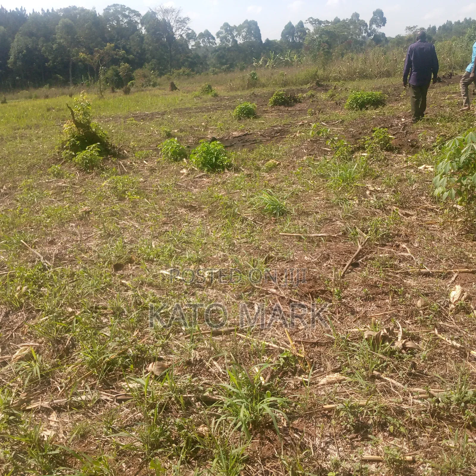 13 Acres for Sale at Mukono Nama Bulika in Mukono TC