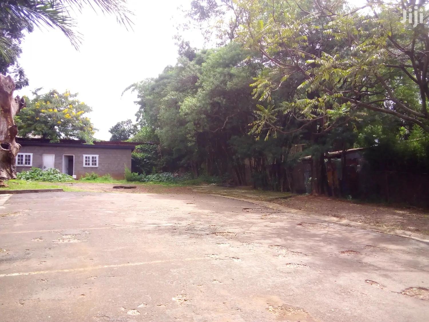 Six Bedroom House In Nakasero For Rent in Kampala