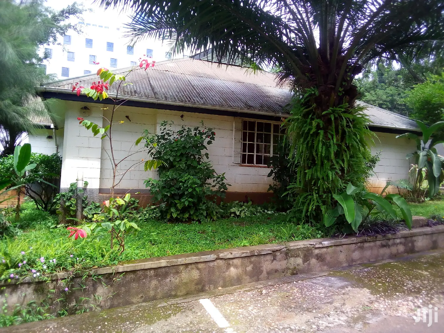 Six Bedroom House In Nakasero For Rent in Kampala