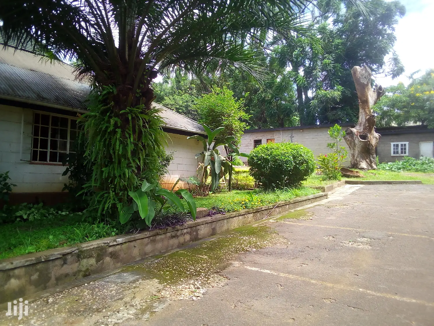 Six Bedroom House In Nakasero For Rent in Kampala