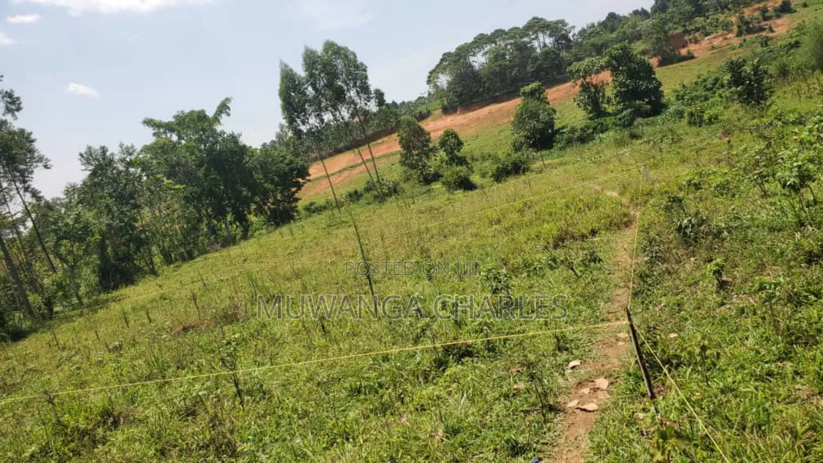 Plot's for Sale in Nangabo Nalusuga in Division A