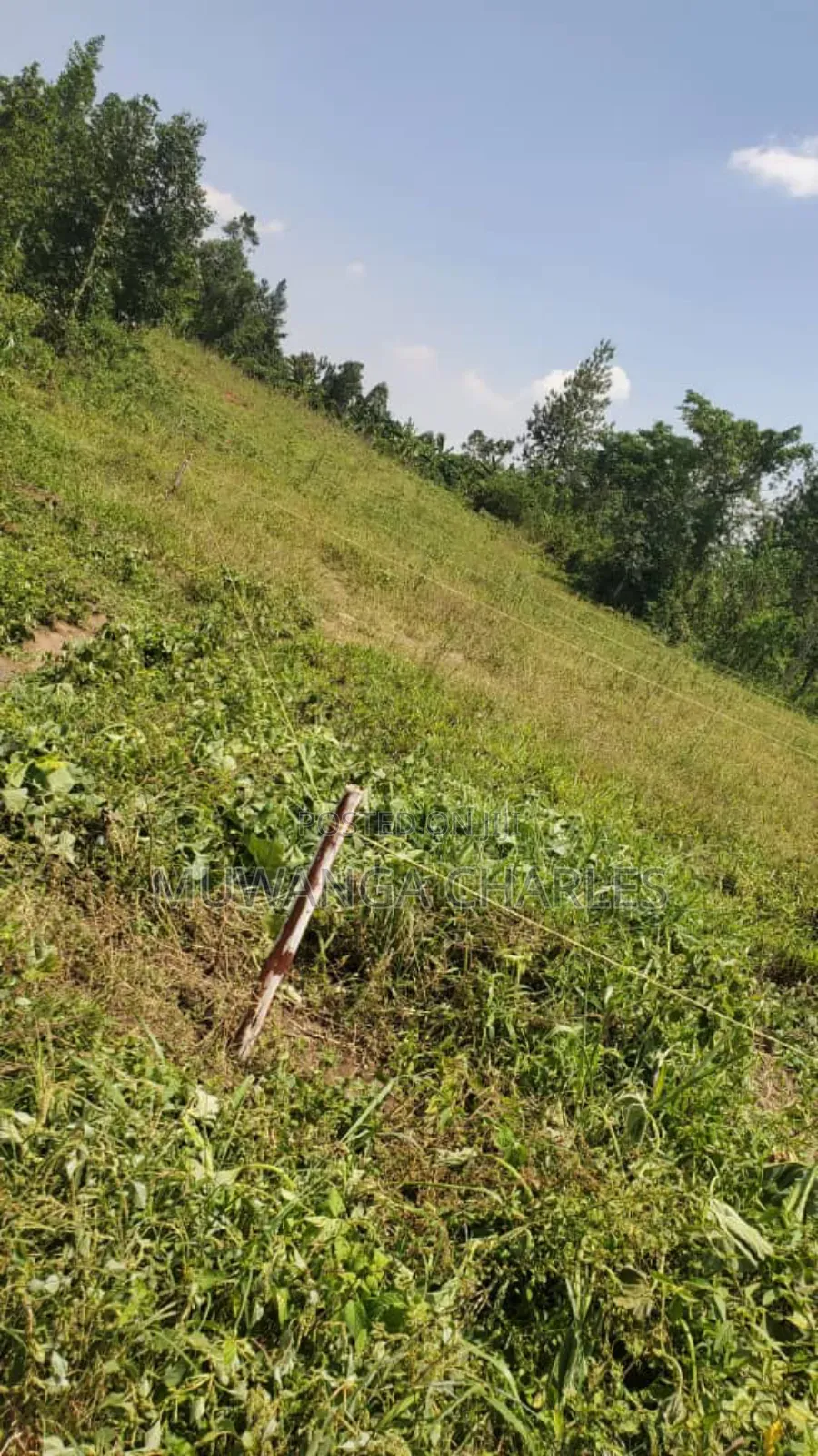 Plot's for Sale in Nangabo Nalusuga in Division A
