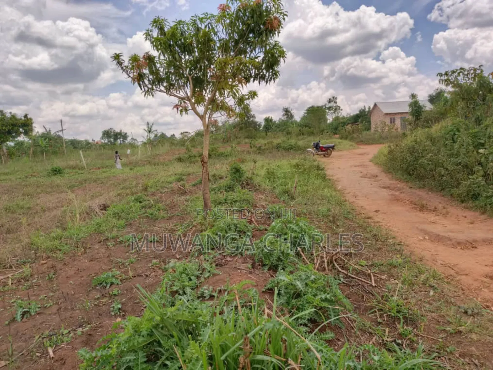 Plot for Sale in Gayaza Kabubu in Division A