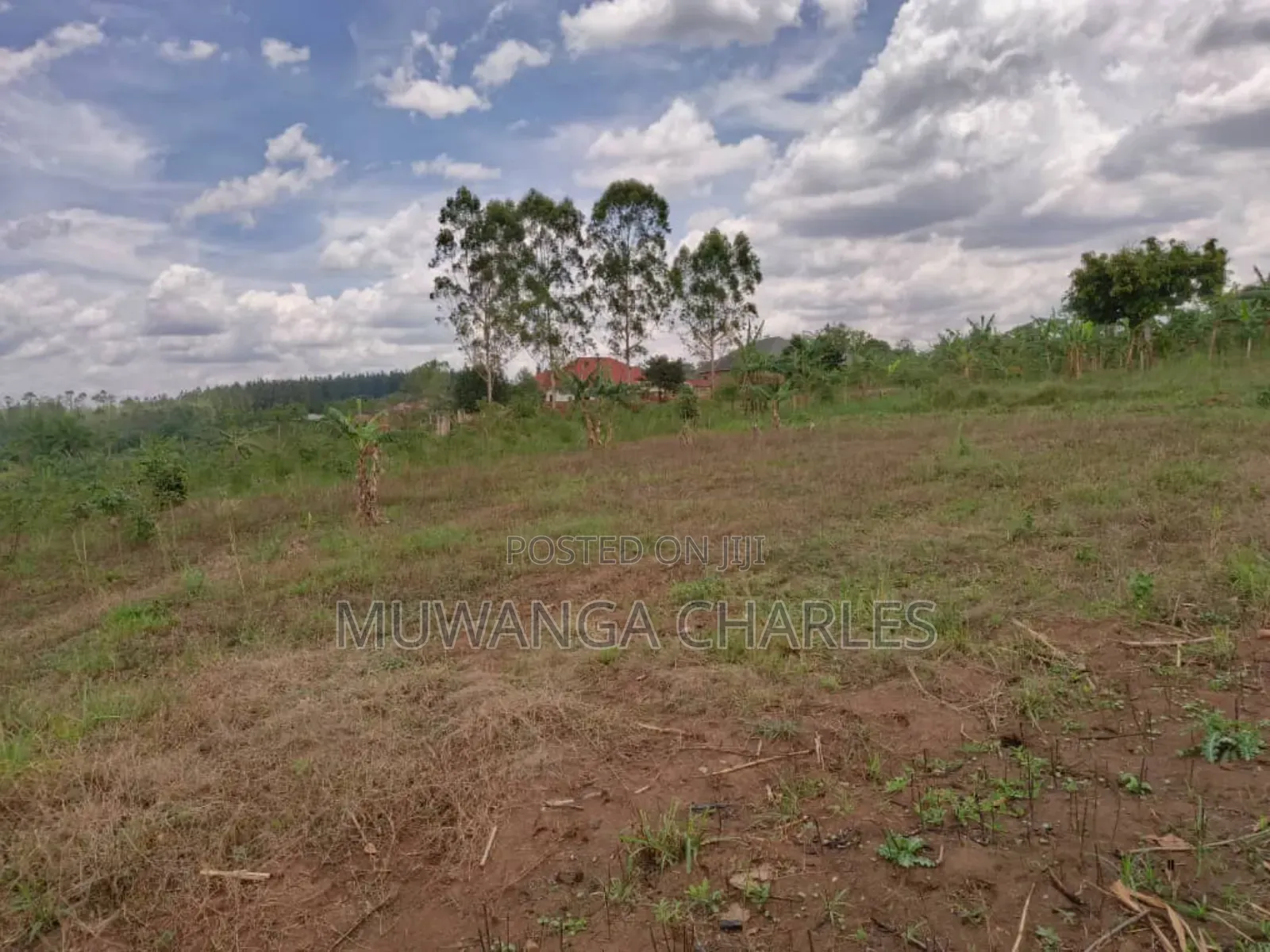 Plot for Sale in Gayaza Kabubu in Division A