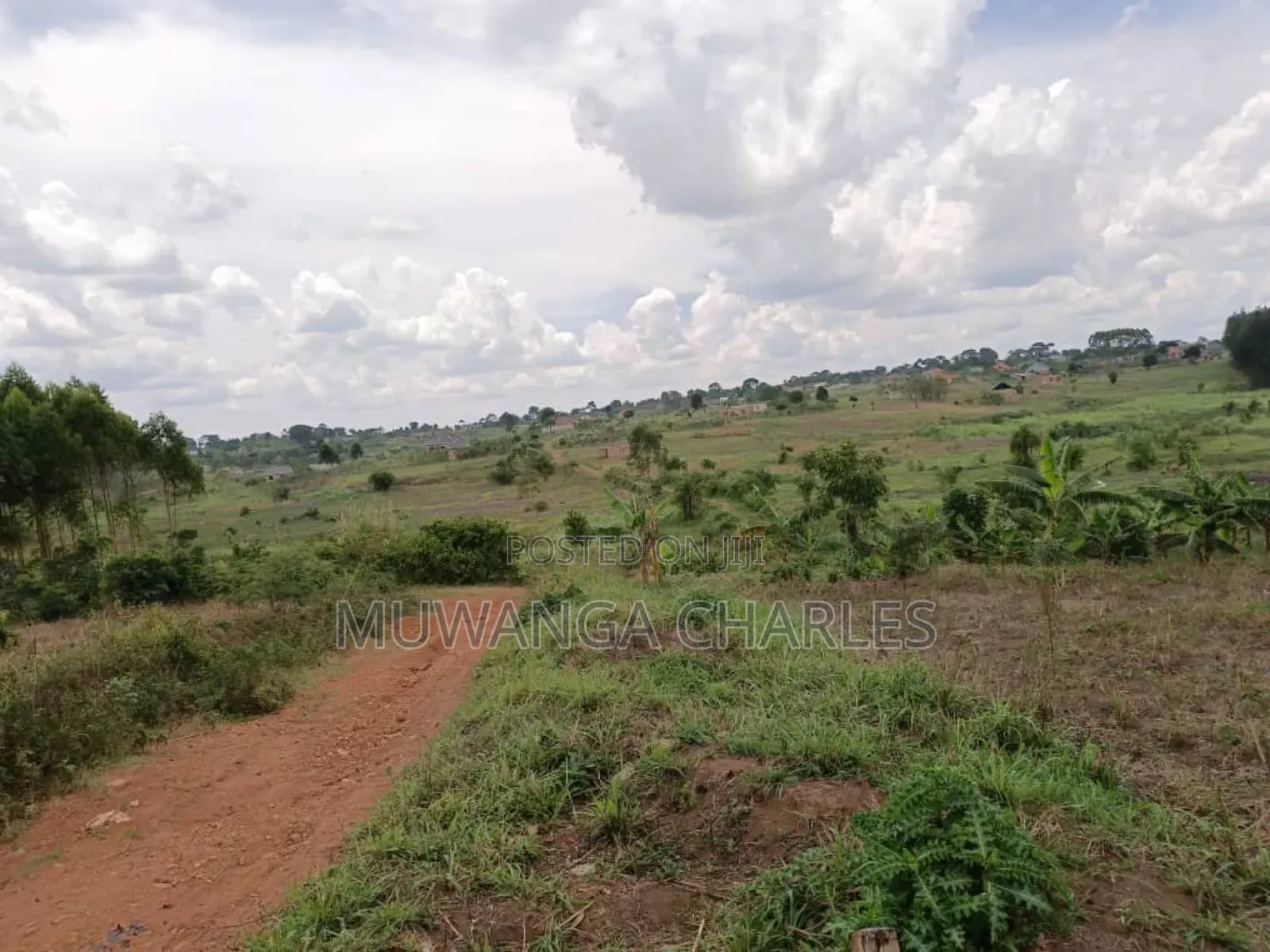 Plot for Sale in Gayaza Kabubu in Division A