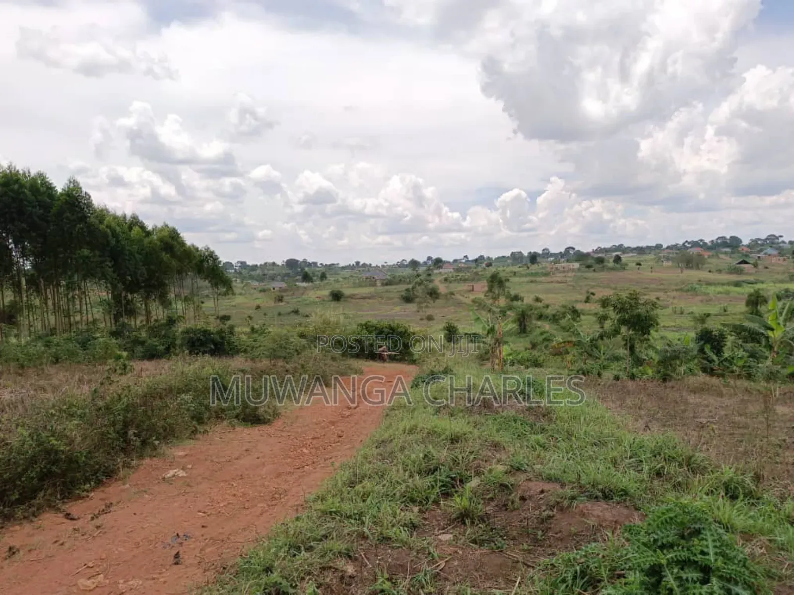 Plot for Sale in Gayaza Kabubu in Division A