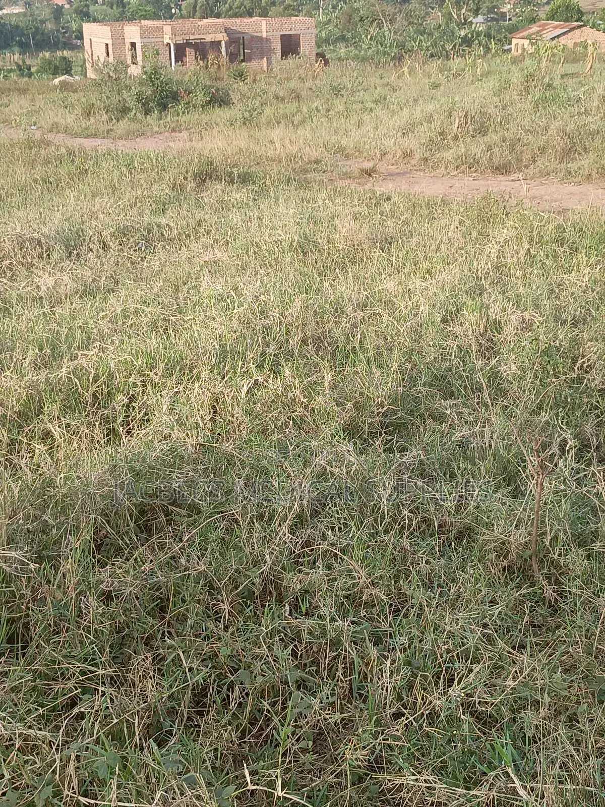 Plot at Sanga Matunga Semuto Road in Central Division