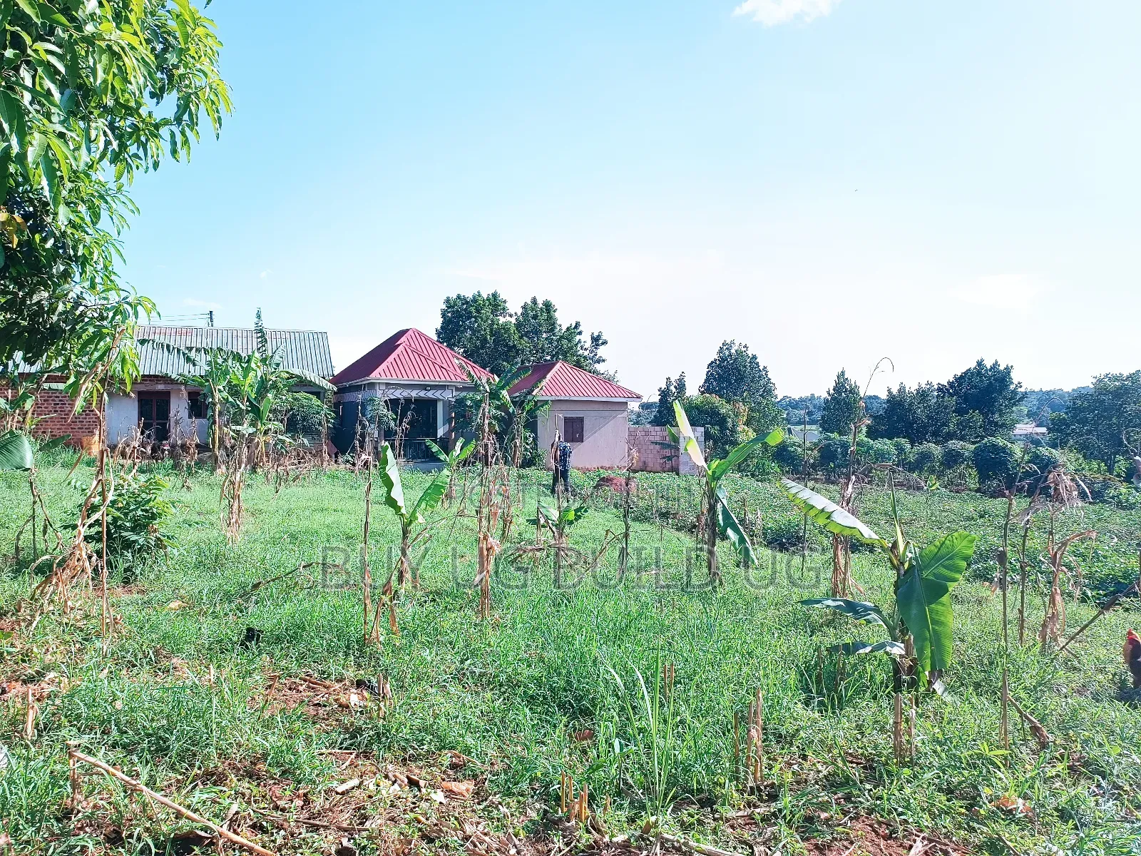 Quick Sale!!
27 Decimals Ready Title in Kira Kijabijo 67m in Division A