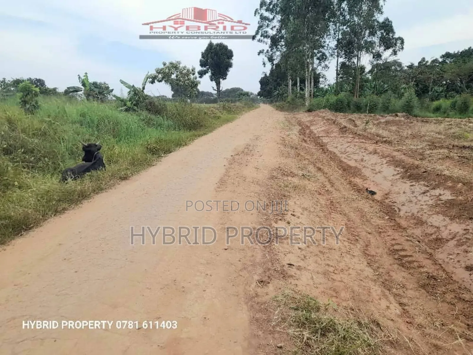 Prime Plots For Sale In Kasanga~Namayumba Town Land Estate V in Namayumba