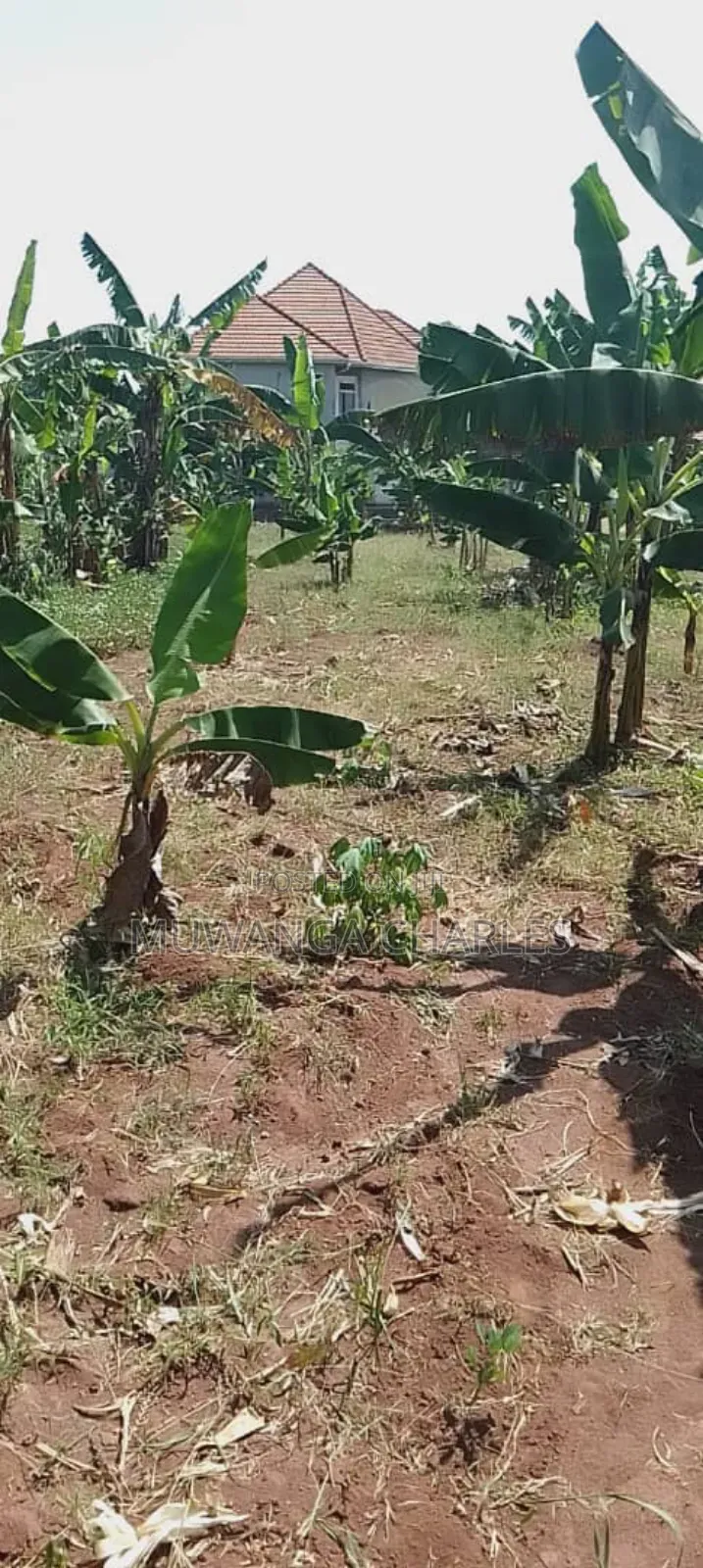 Plot for Sale in Kasangati Nangabo in Division A