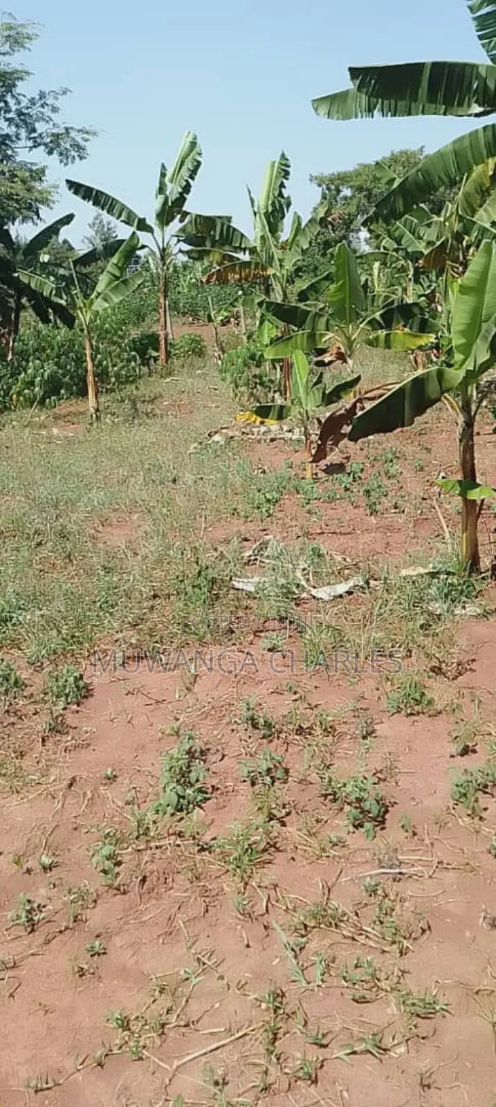 Plot for Sale in Kasangati Nangabo in Division A