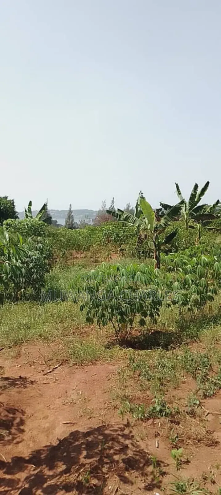Plot for Sale in Kasangati Nangabo in Division A