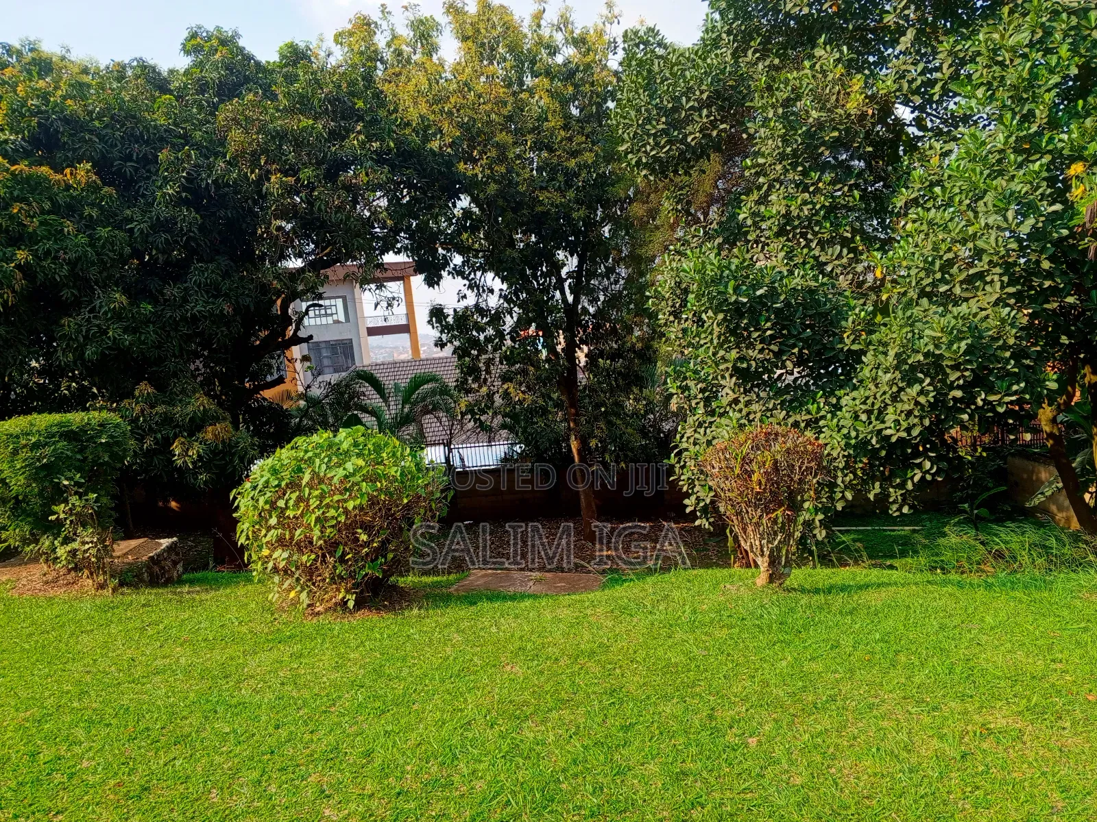 3bdrm Bungalow in Kololo Property, Central Division for rent in Central Division