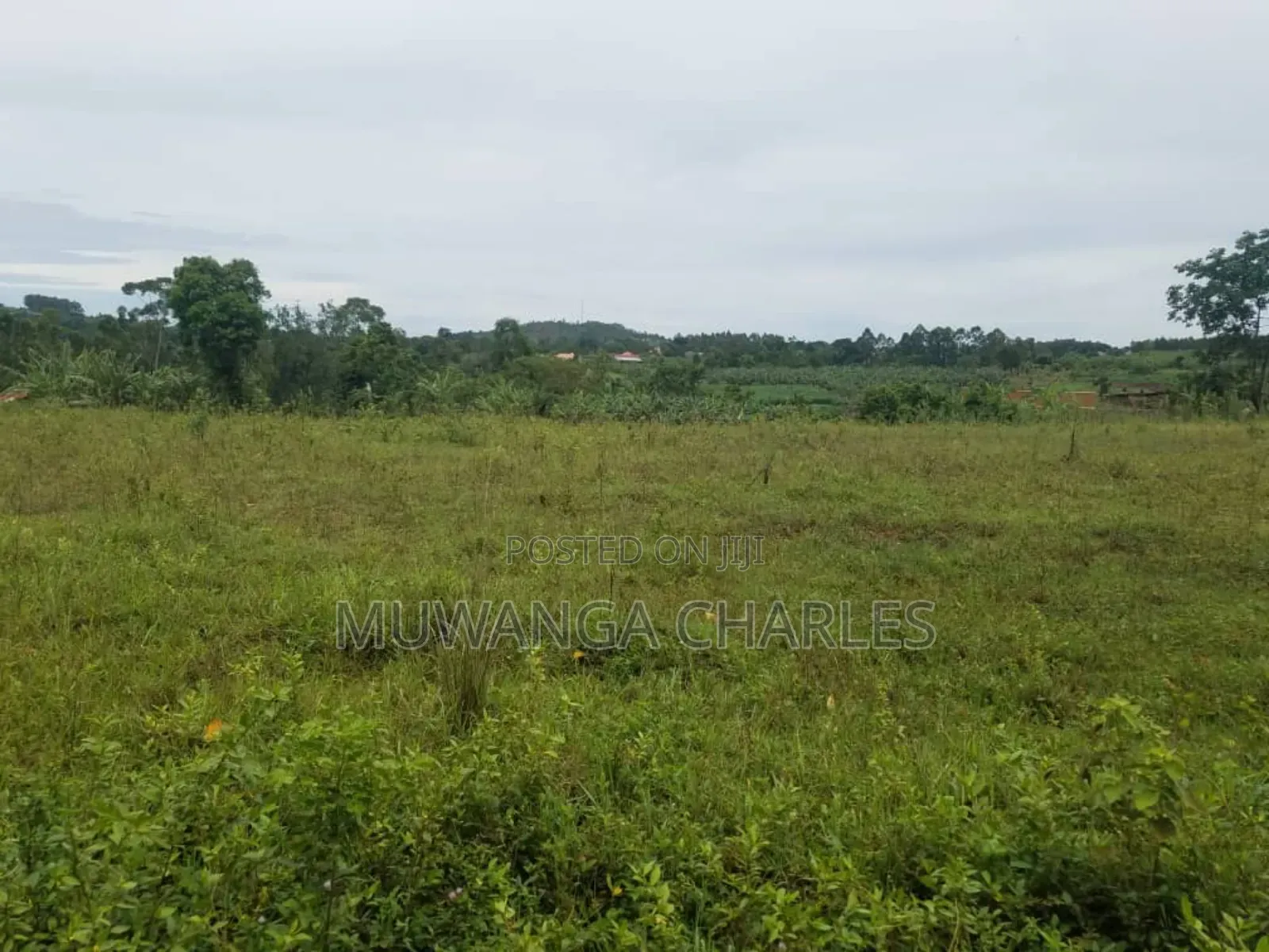 Land for Sale in Kakoge Luwero in Kakooge