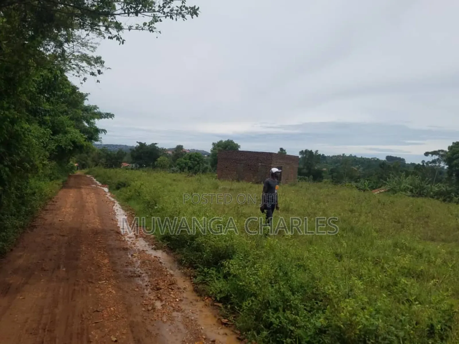 Land for Sale in Kakoge Luwero in Kakooge