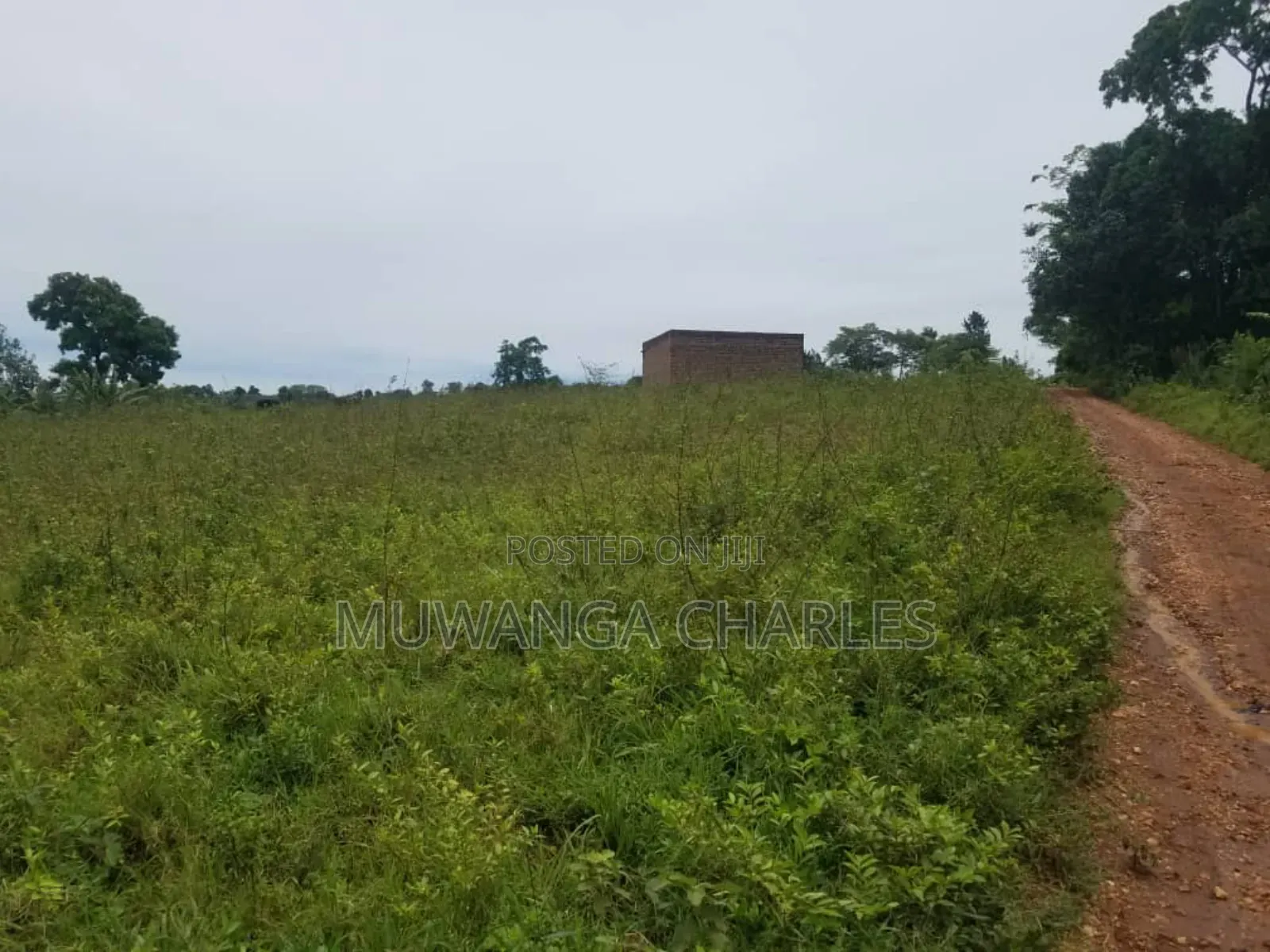 Land for Sale in Kakoge Luwero in Kakooge