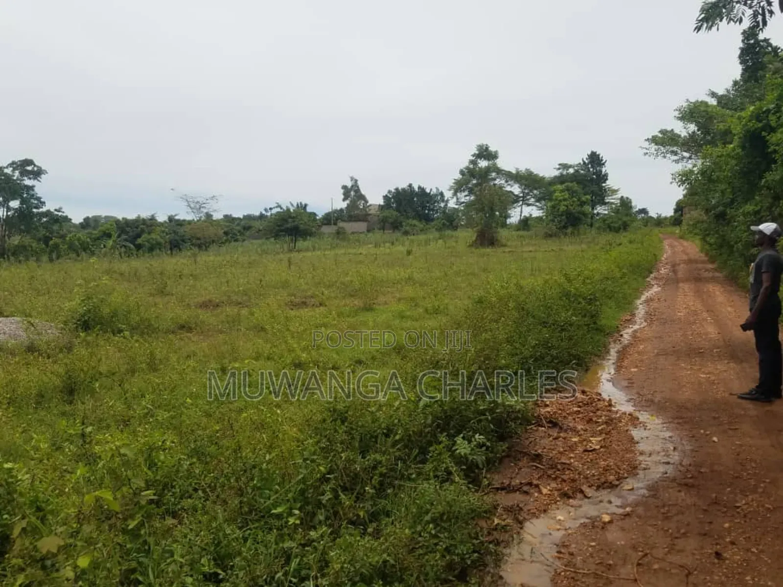Land for Sale in Kakoge Luwero in Kakooge