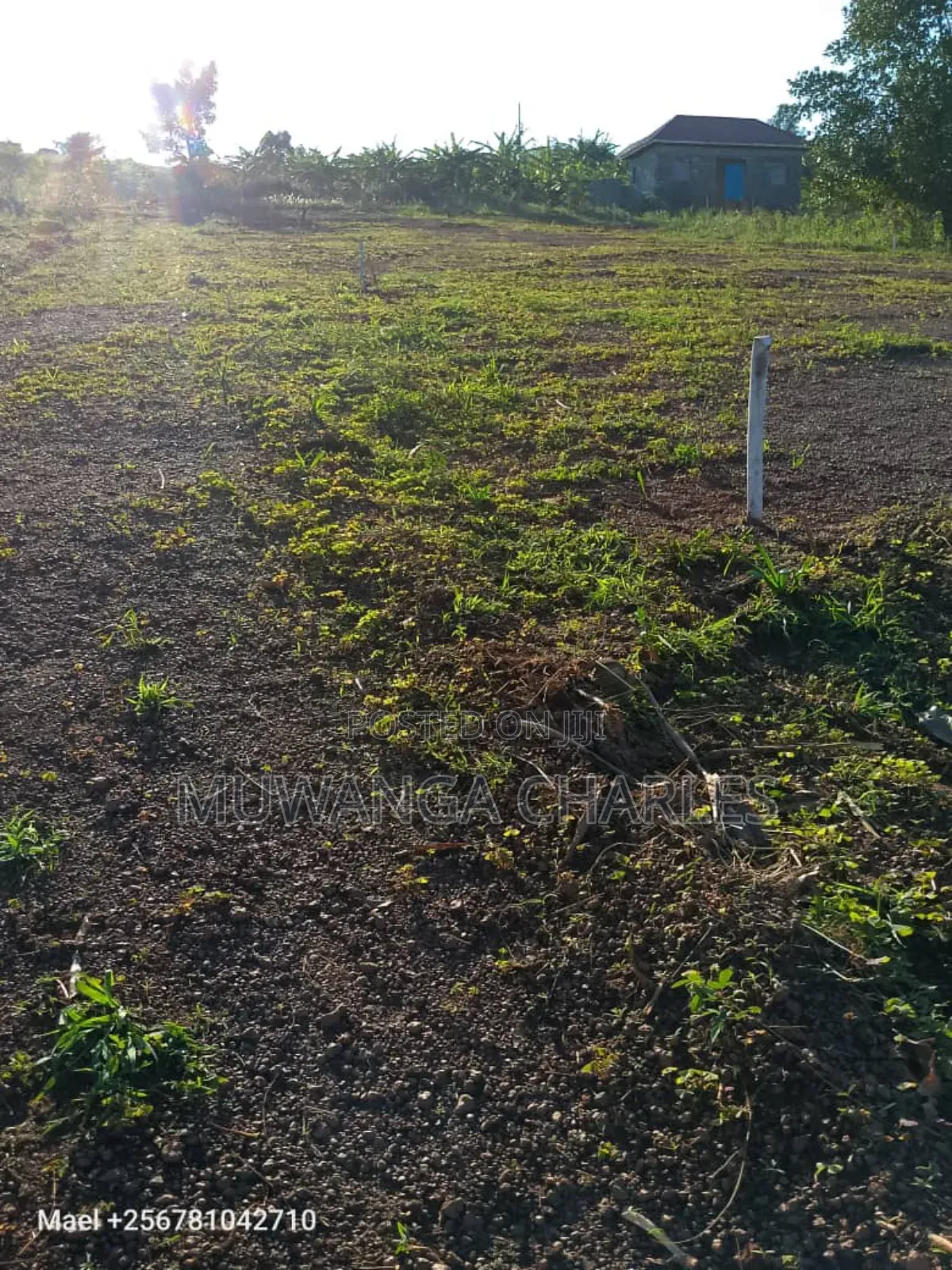 Plot's for Sale in Mpigi in Mpigi / Mpigi