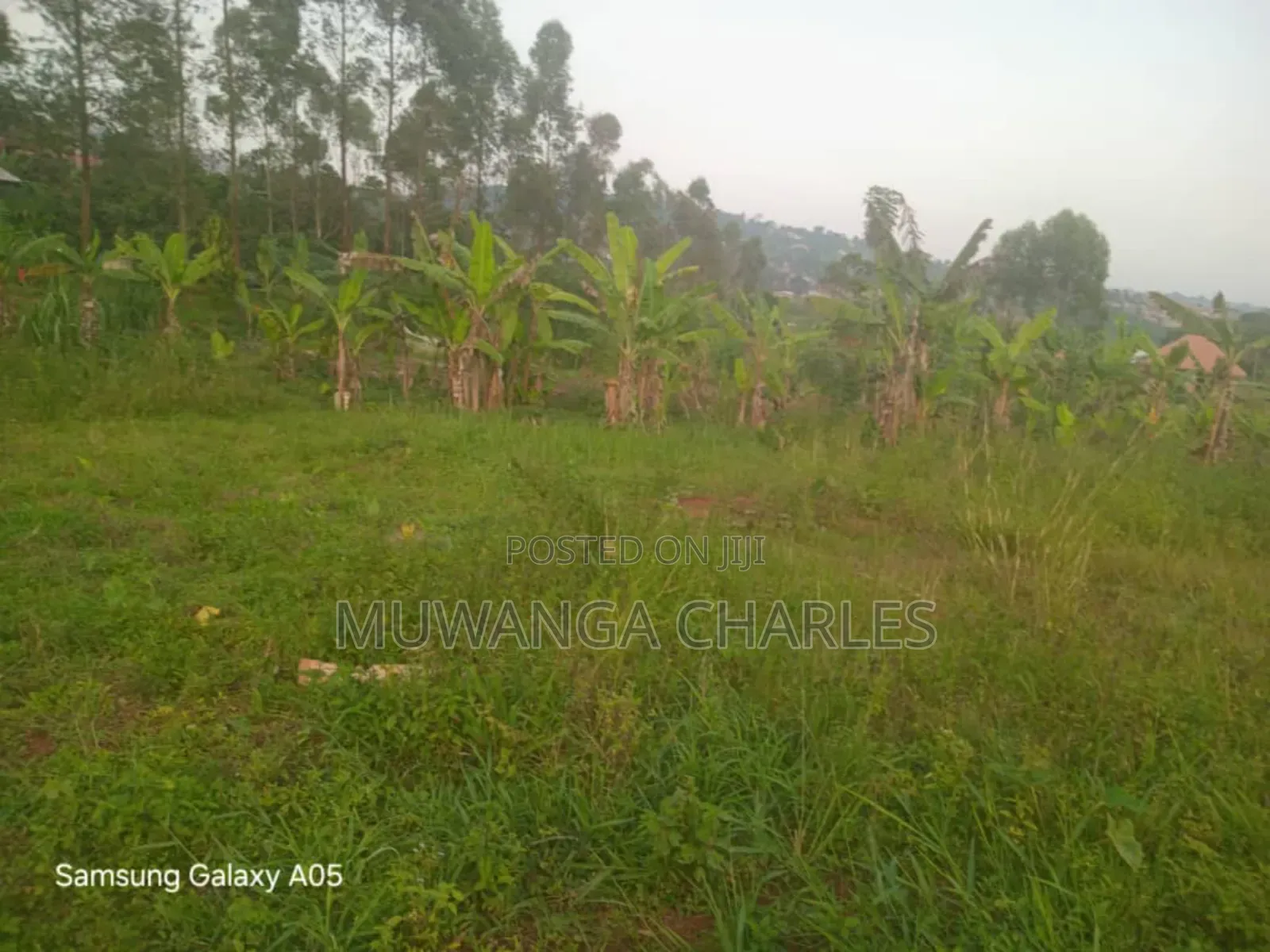 Plot for Sale in Kalagala in Kalagala