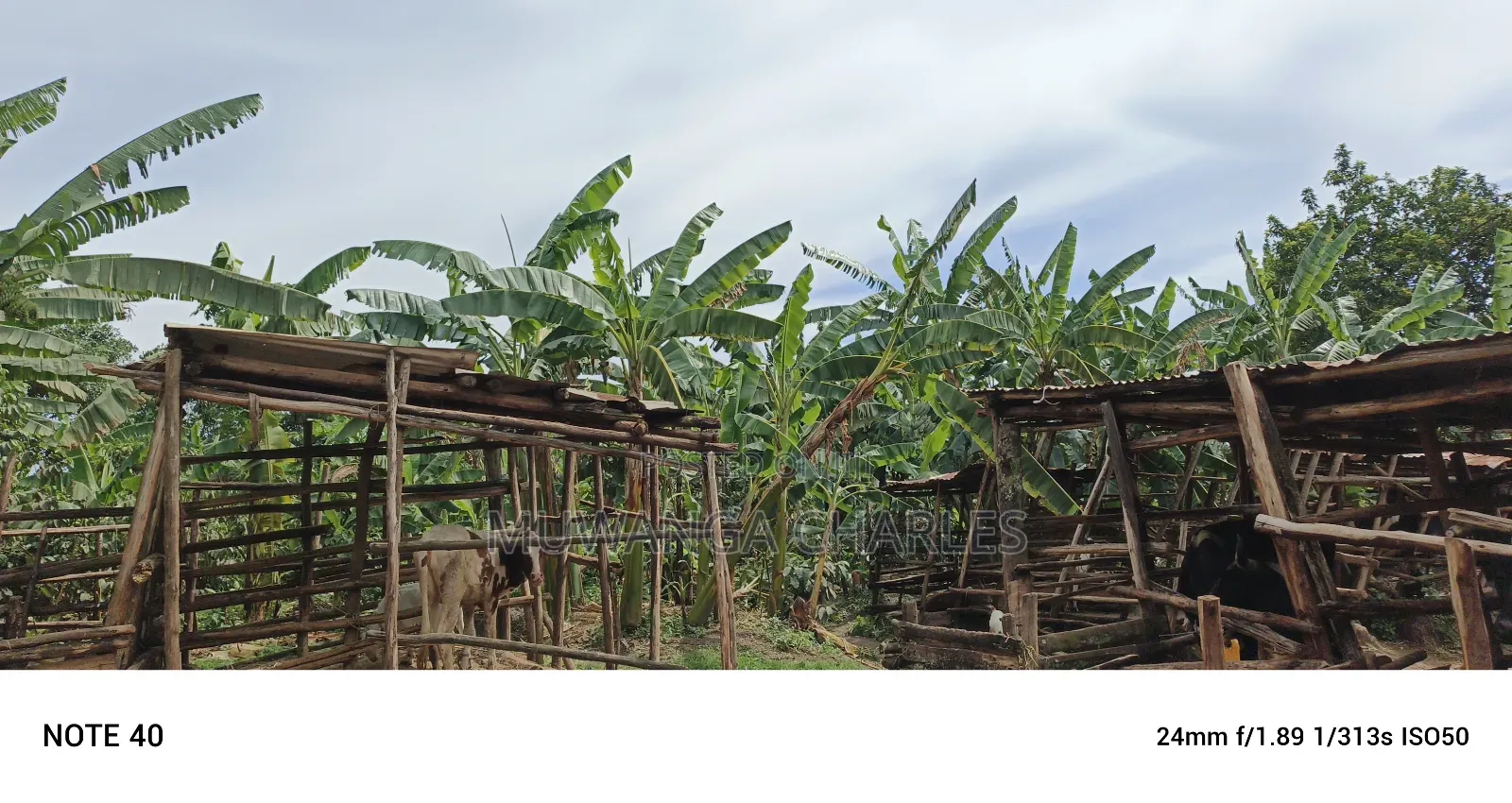 1acre Commercial Land for Sale in Kawempe Tula in Kawempe