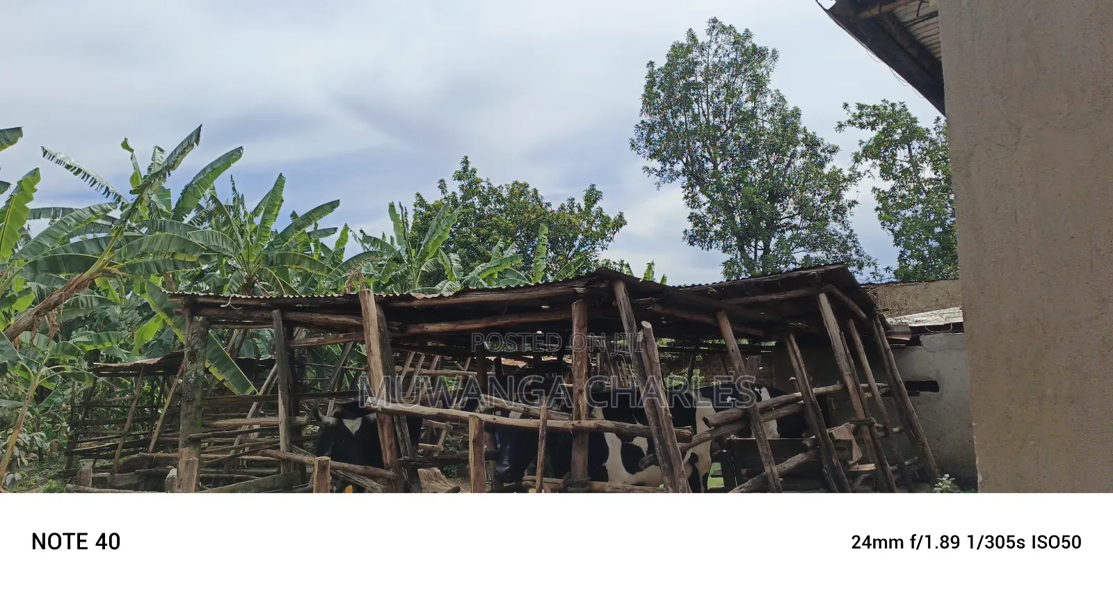 1acre Commercial Land for Sale in Kawempe Tula in Kawempe