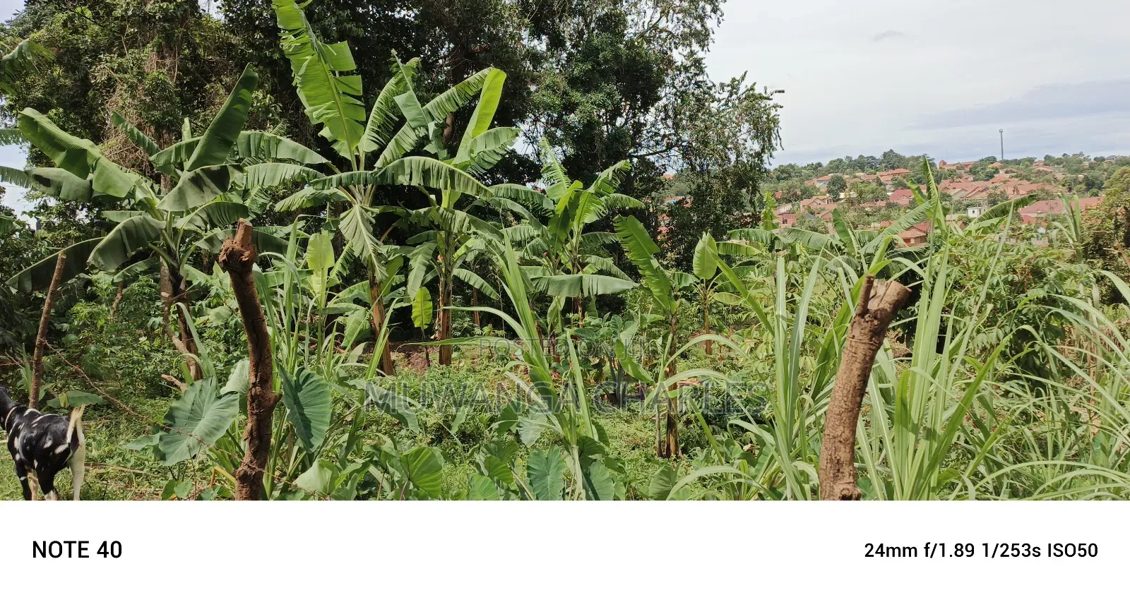 2acres of Land for Sale in Kawempe Tula in Kawempe