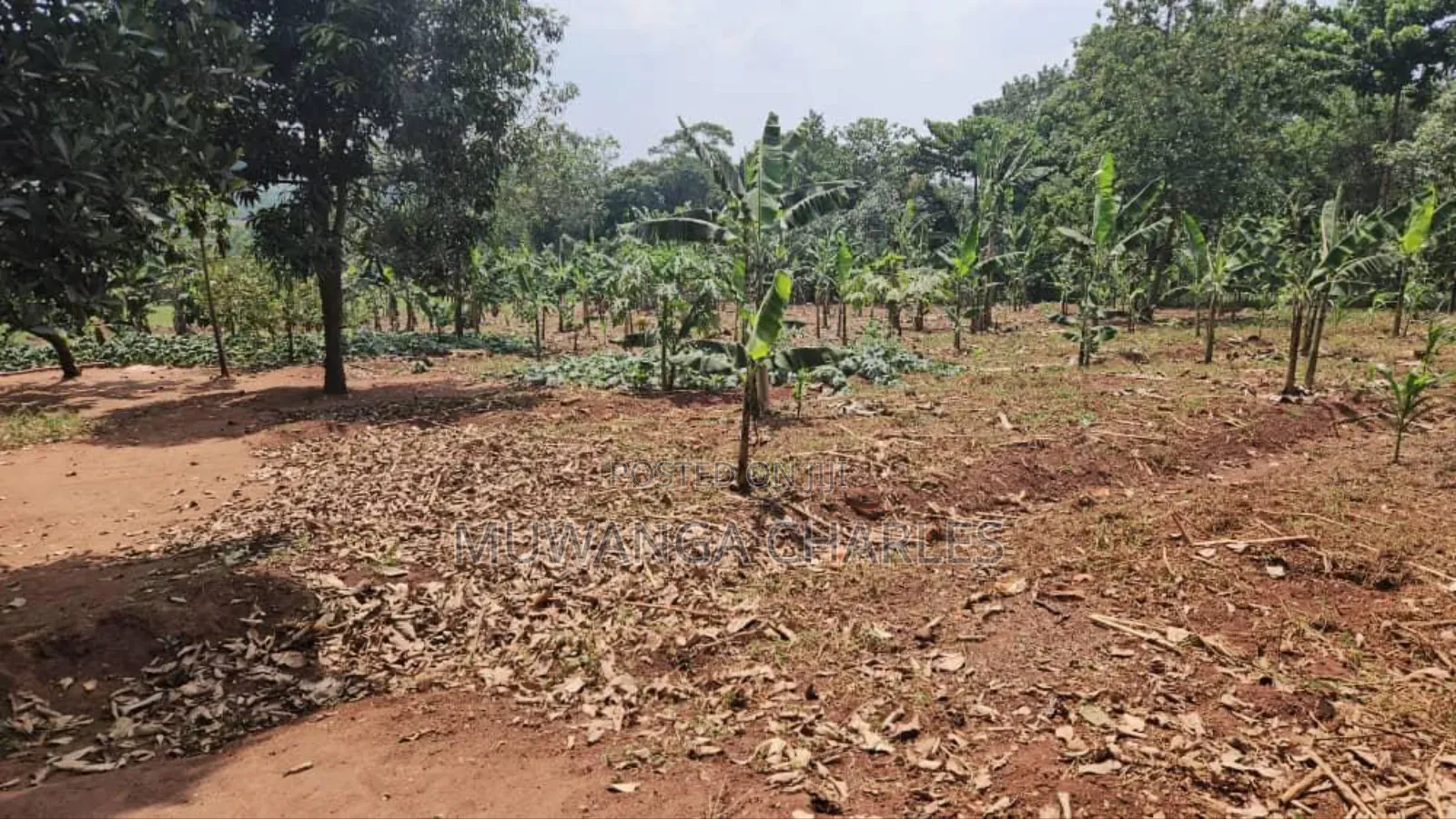 2acres of Land on Sale in Nkumba Entebbe Road in Katabi
