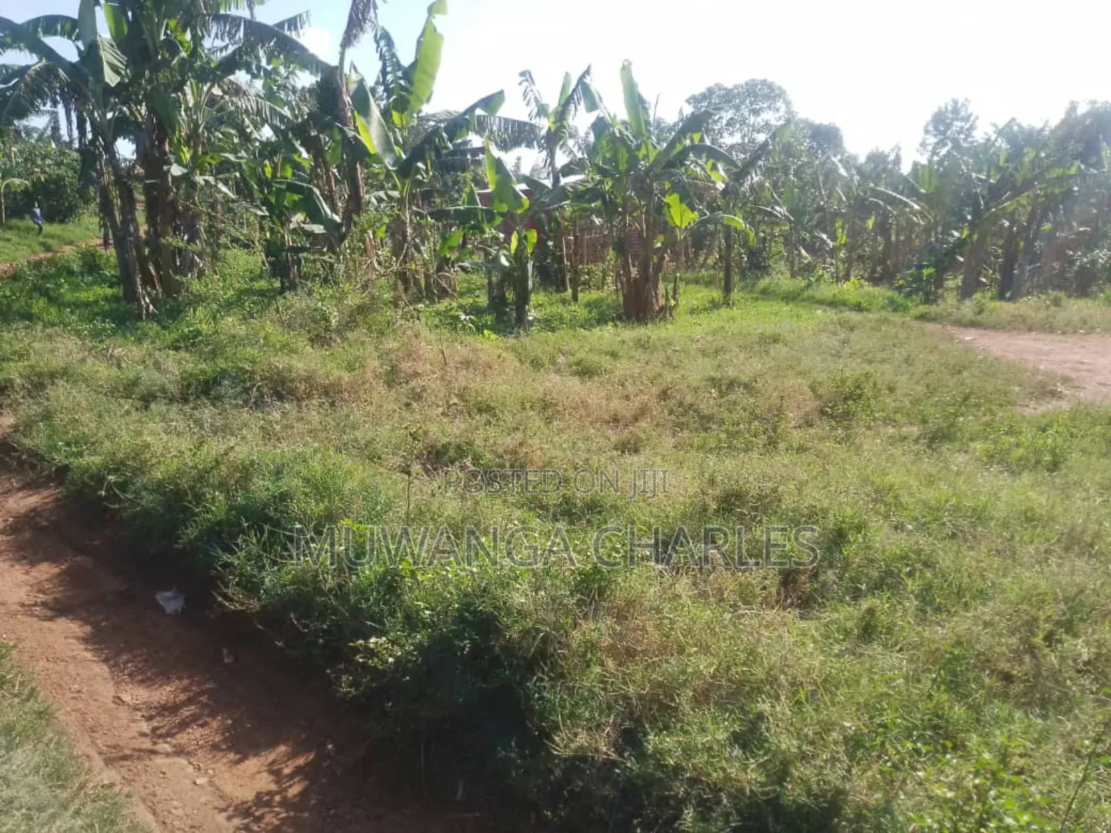 Plot for Sale in Busukuma Phase 2 in Central Division