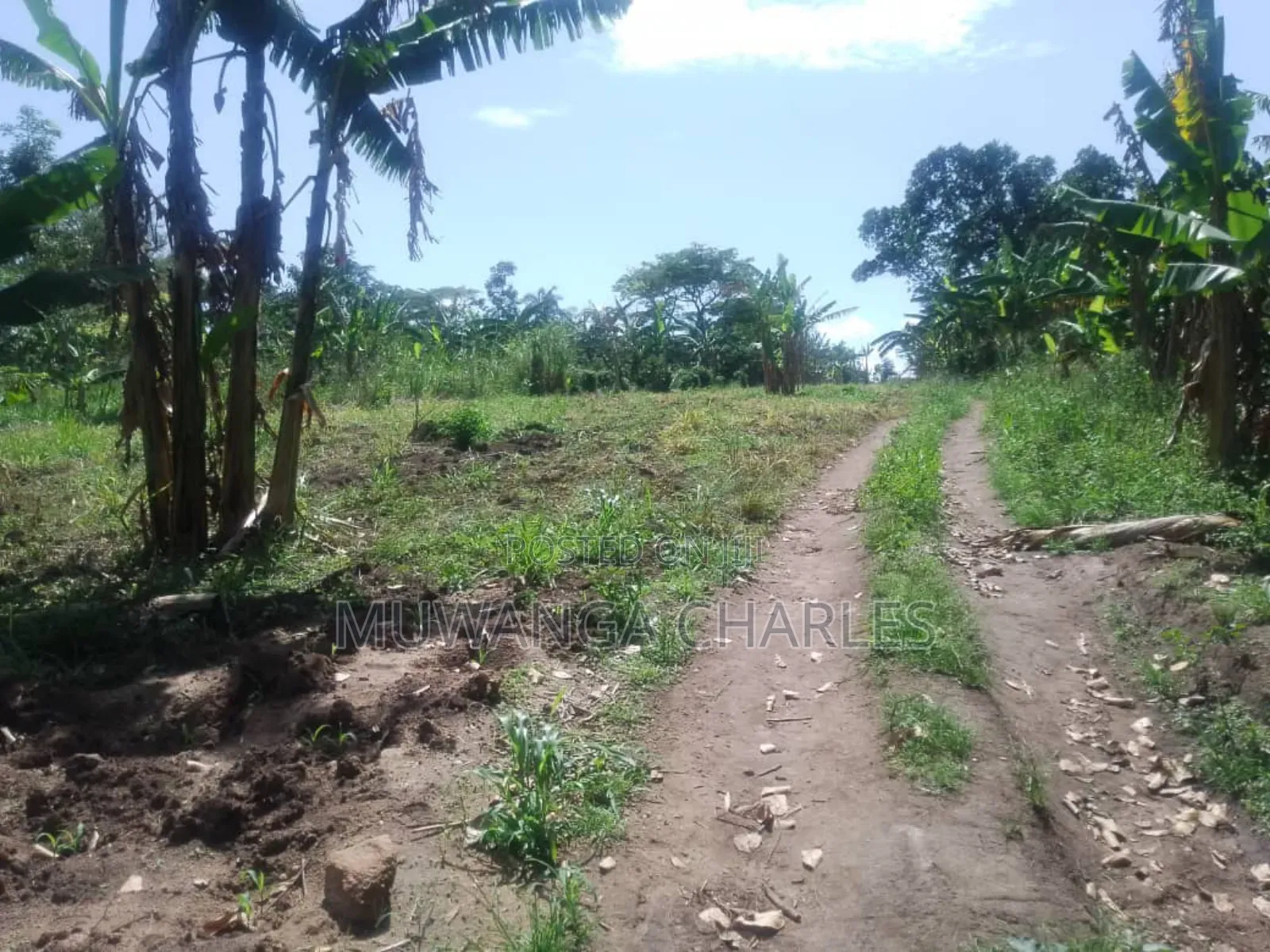 Plot for Sale in Busukuma Phase 2 in Central Division