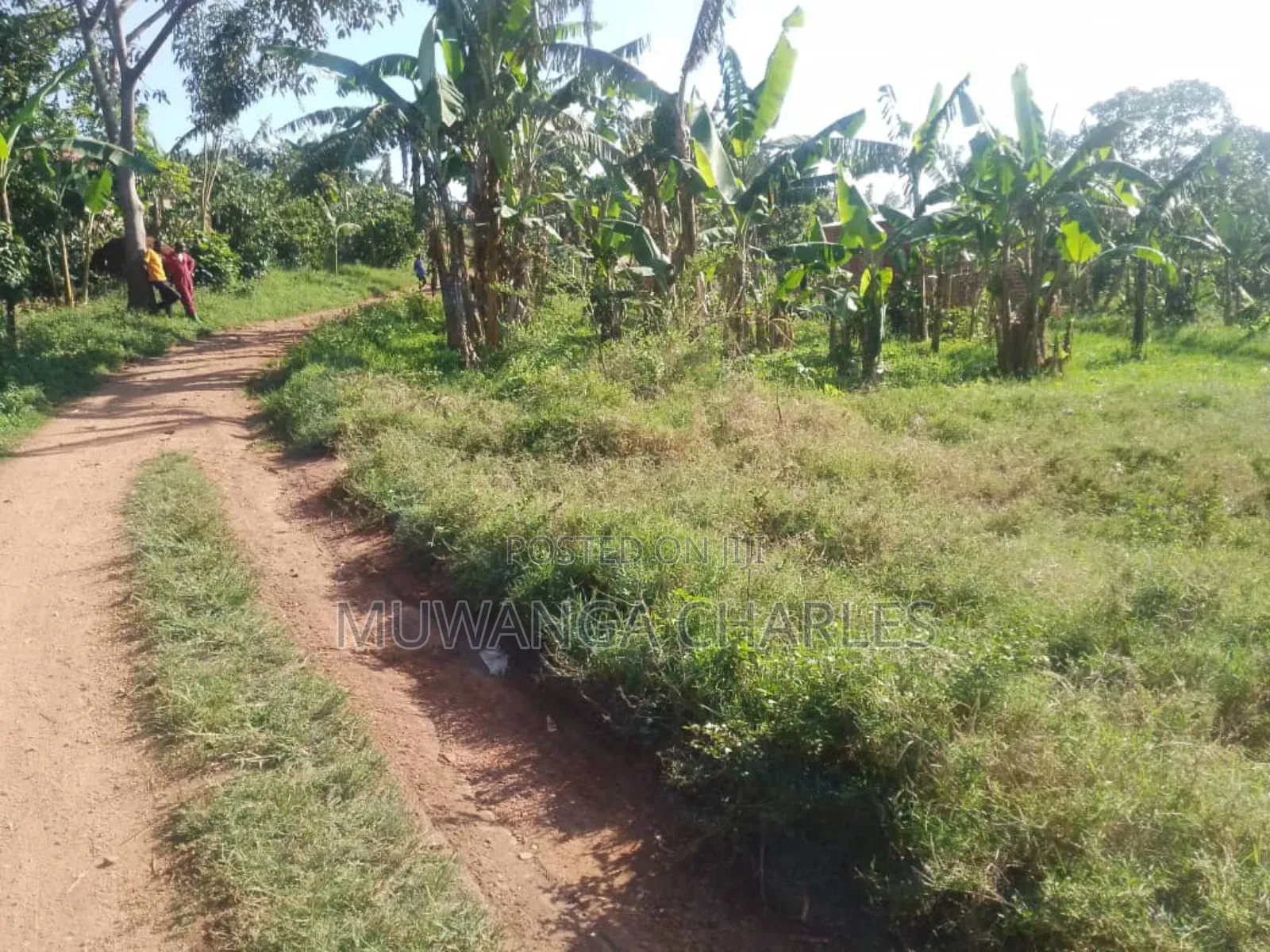 Plot for Sale in Busukuma Phase 2 in Central Division
